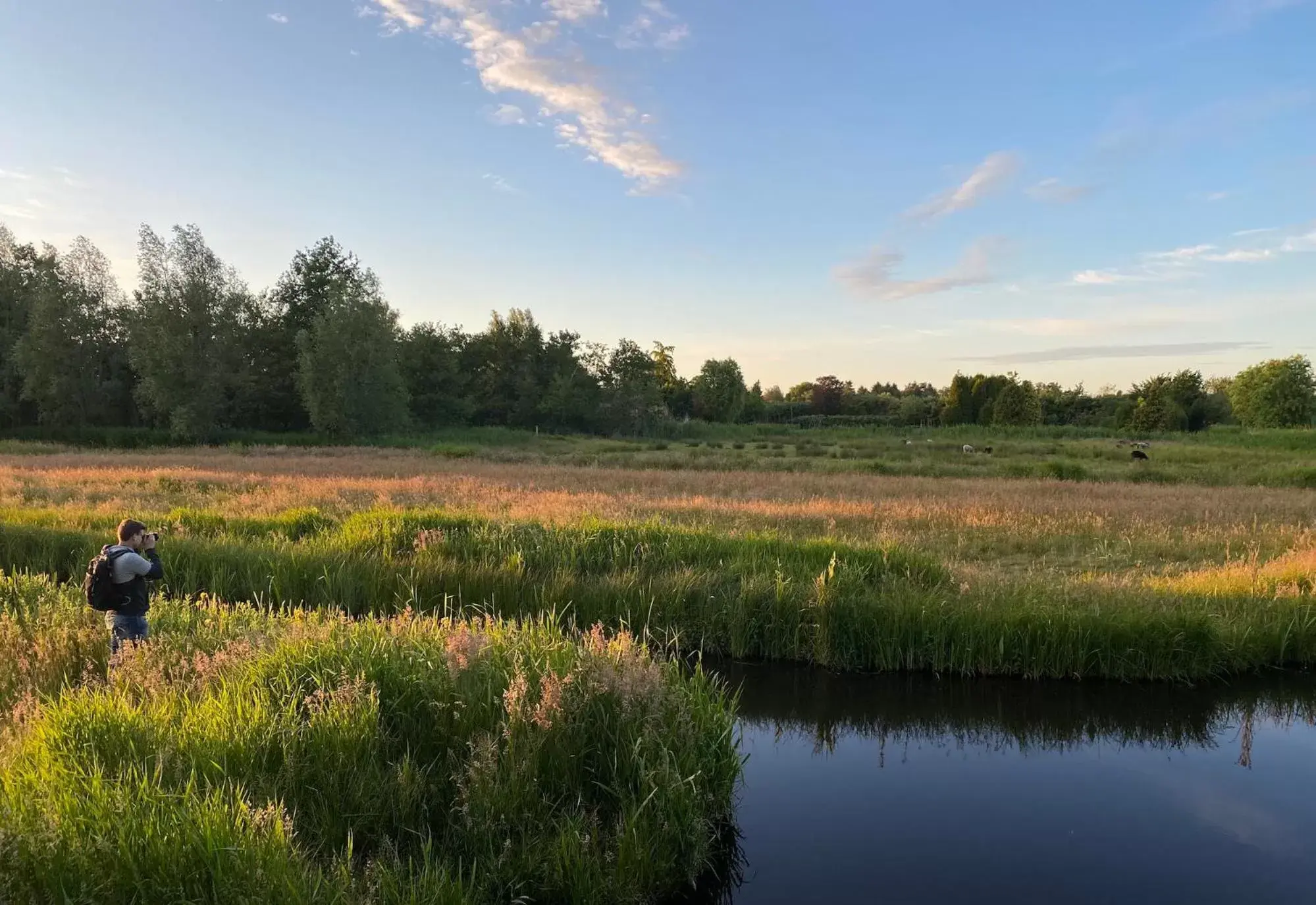 Natural landscape in Hotel Flora Batava