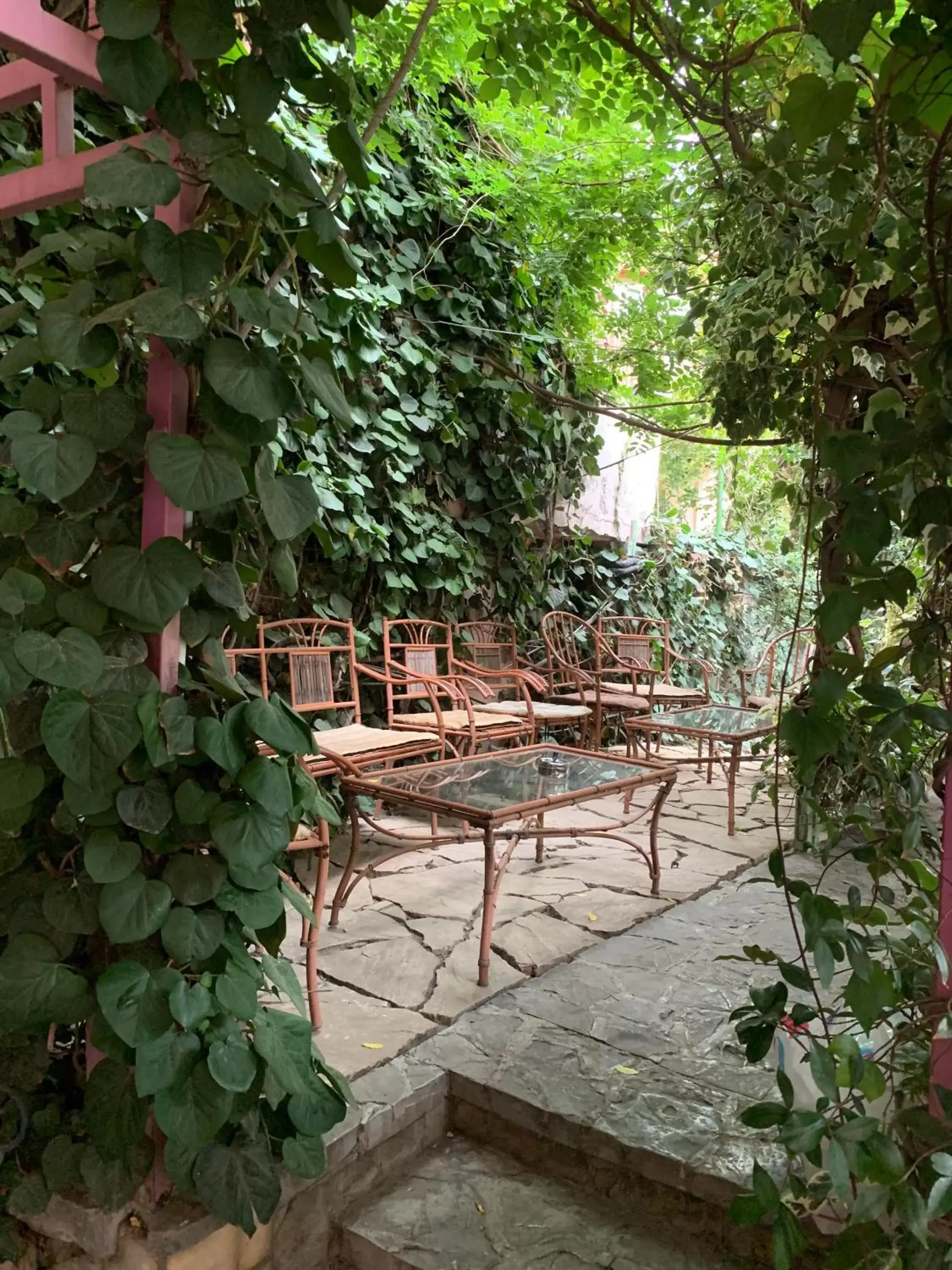 Garden in Irmeni Hotel