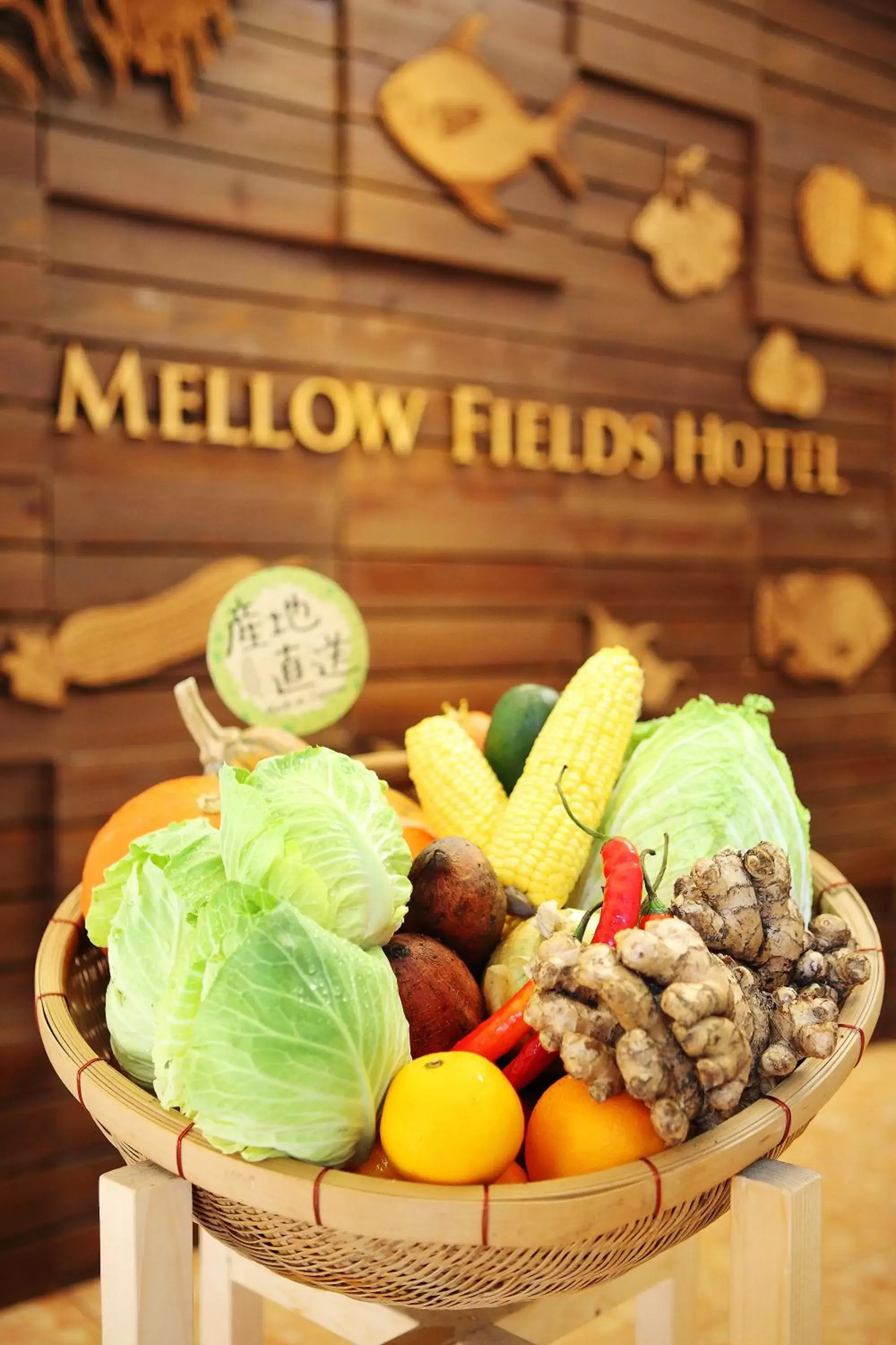 Other, Food in Mellow Fields Hotel