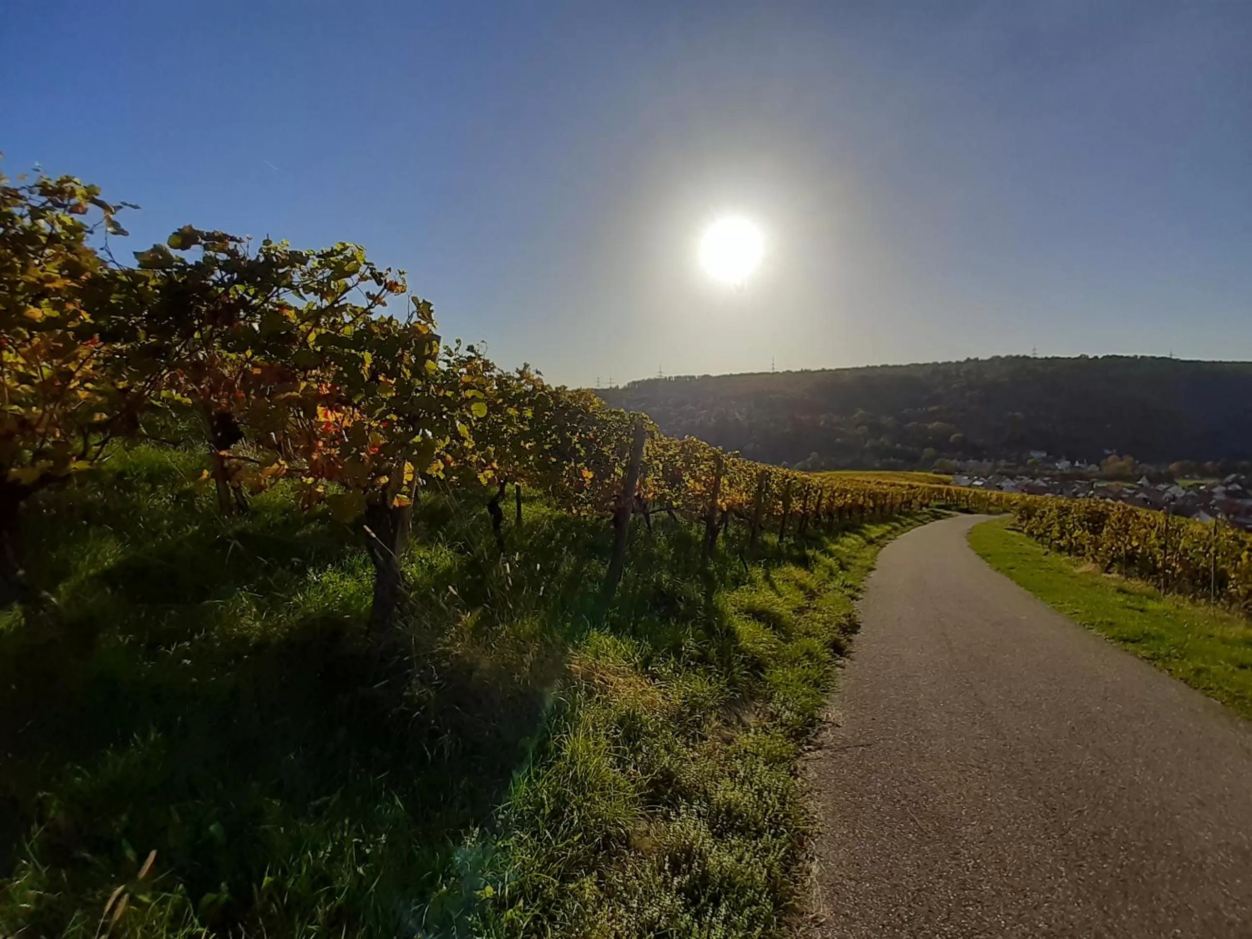 Natural landscape in Remstal Hotel