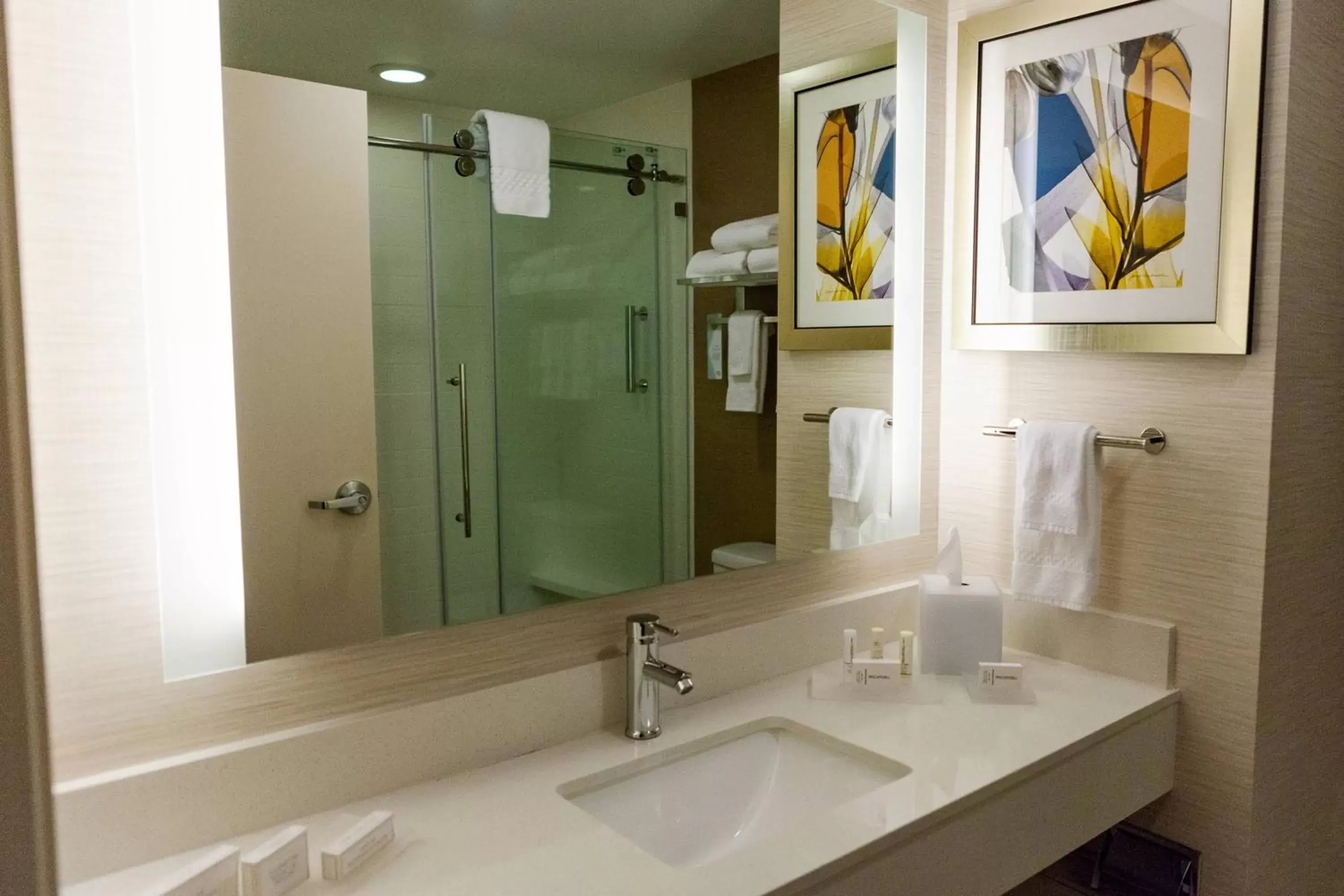 Bathroom in Fairfield Inn by Marriott Rockingham