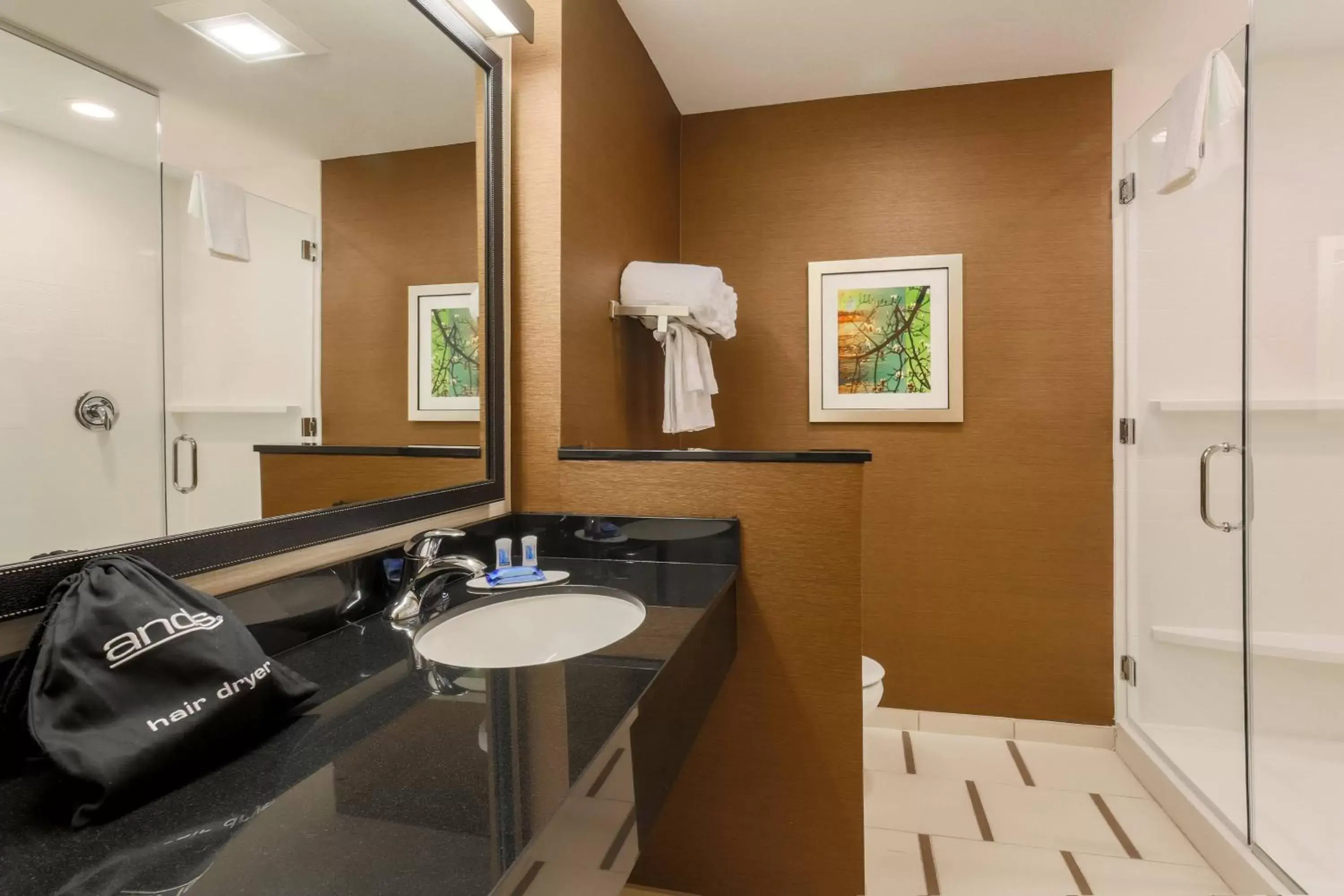 Bathroom in Fairfield Inn & Suites by Marriott Cotulla