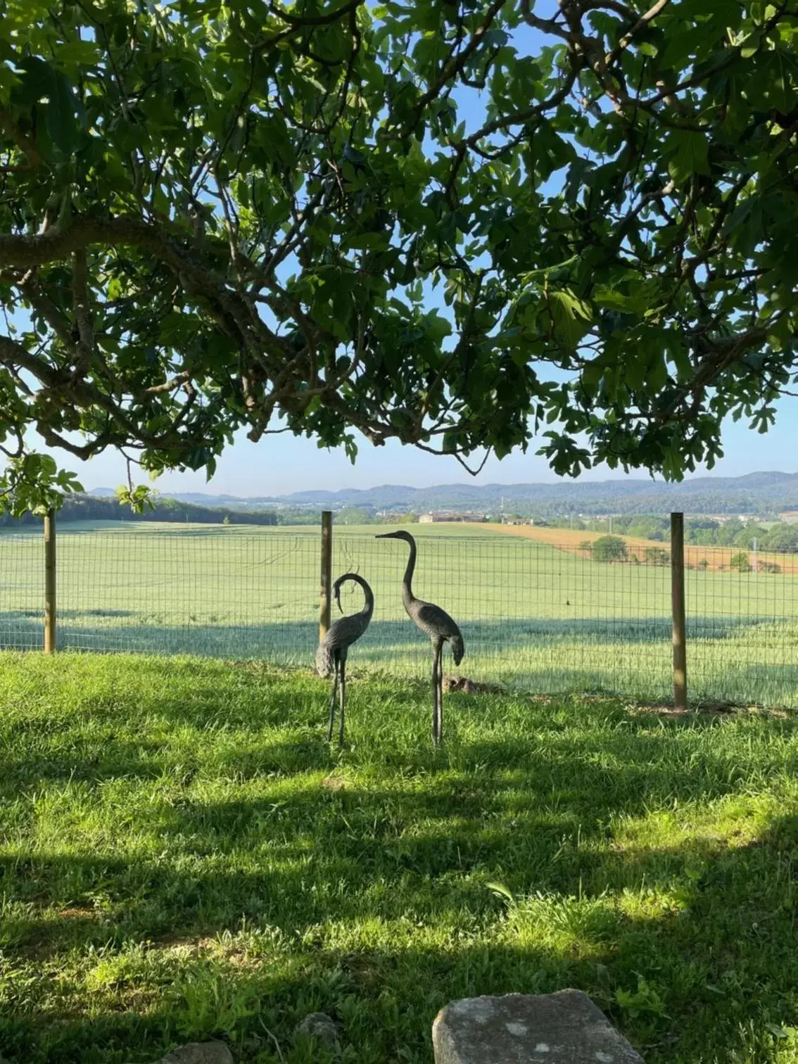 Natural landscape in Mas Feliu Turismo Rural