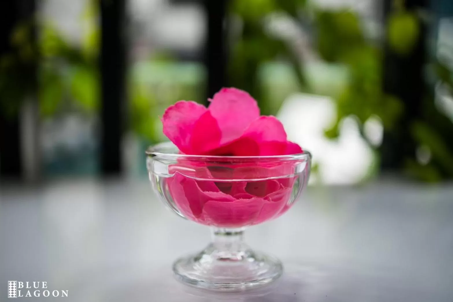 Restaurant/places to eat in Blue Lagoon Hotel