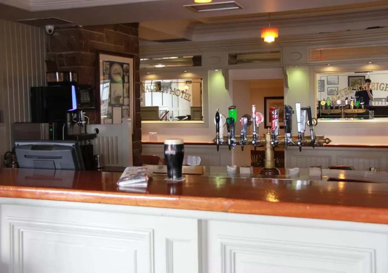 Lounge or bar, Kitchen/Kitchenette in Walter Raleigh Hotel