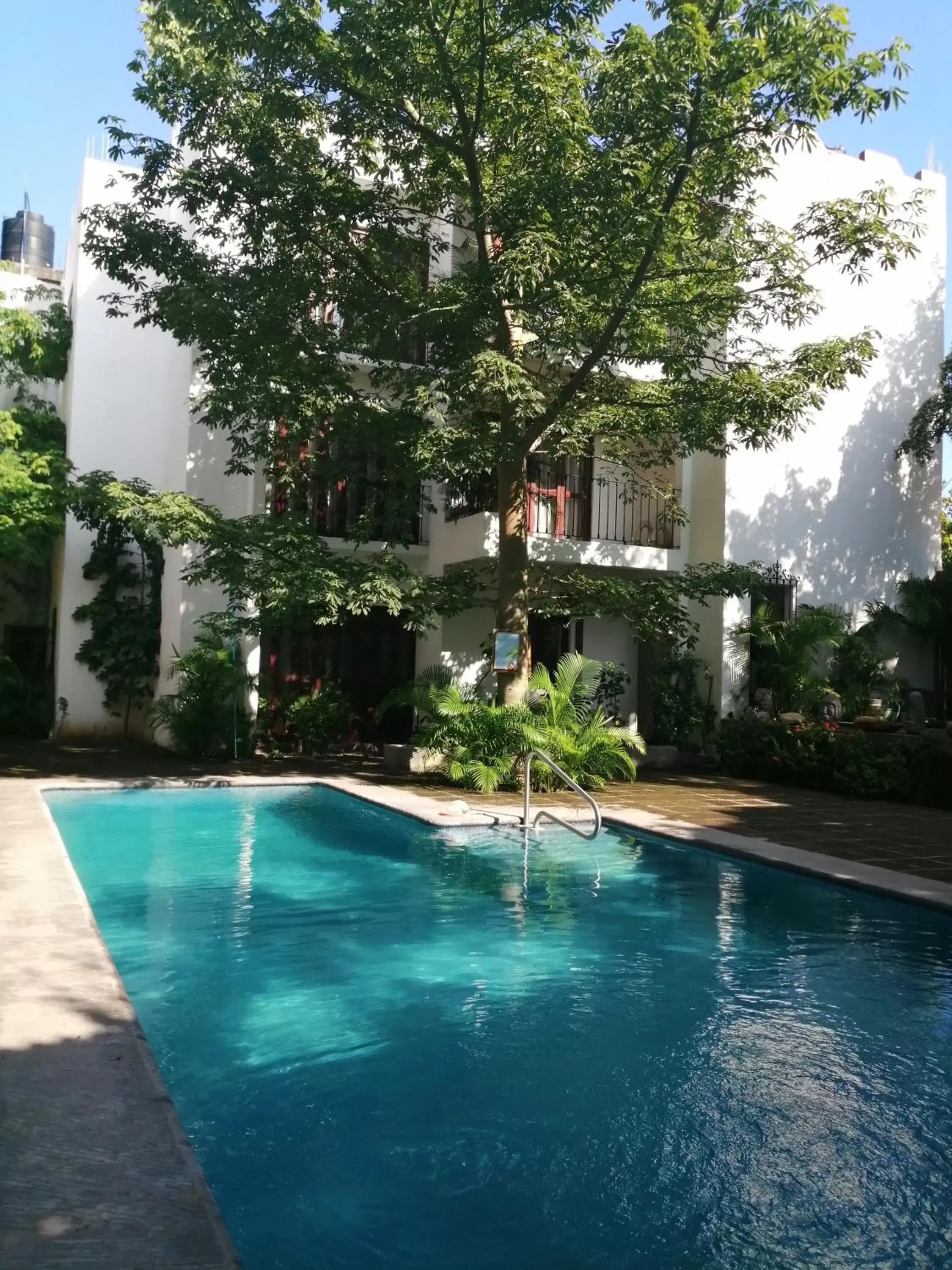 Property building, Swimming Pool in Ceiba Studios