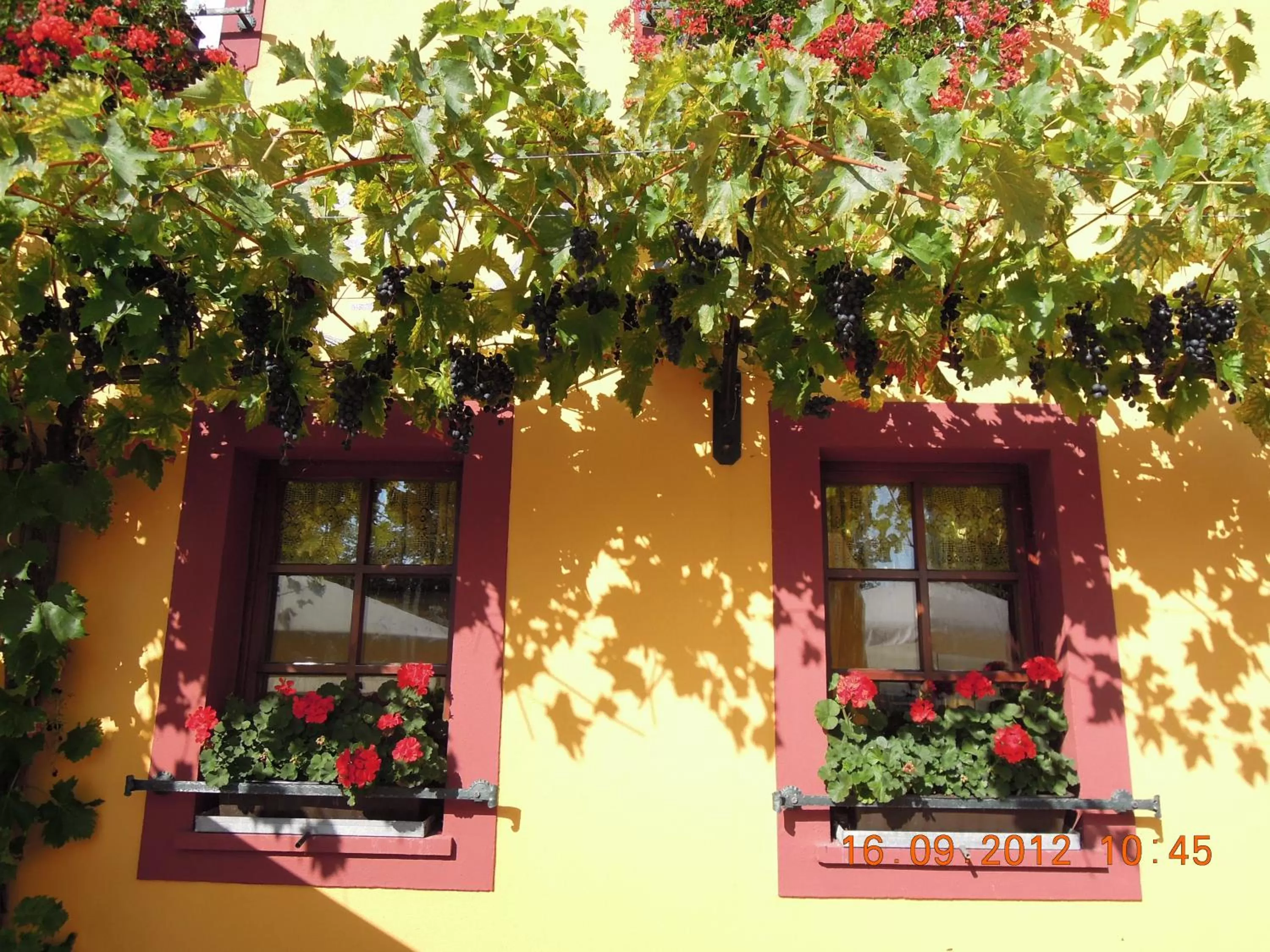 Facade/entrance in Landgasthof May