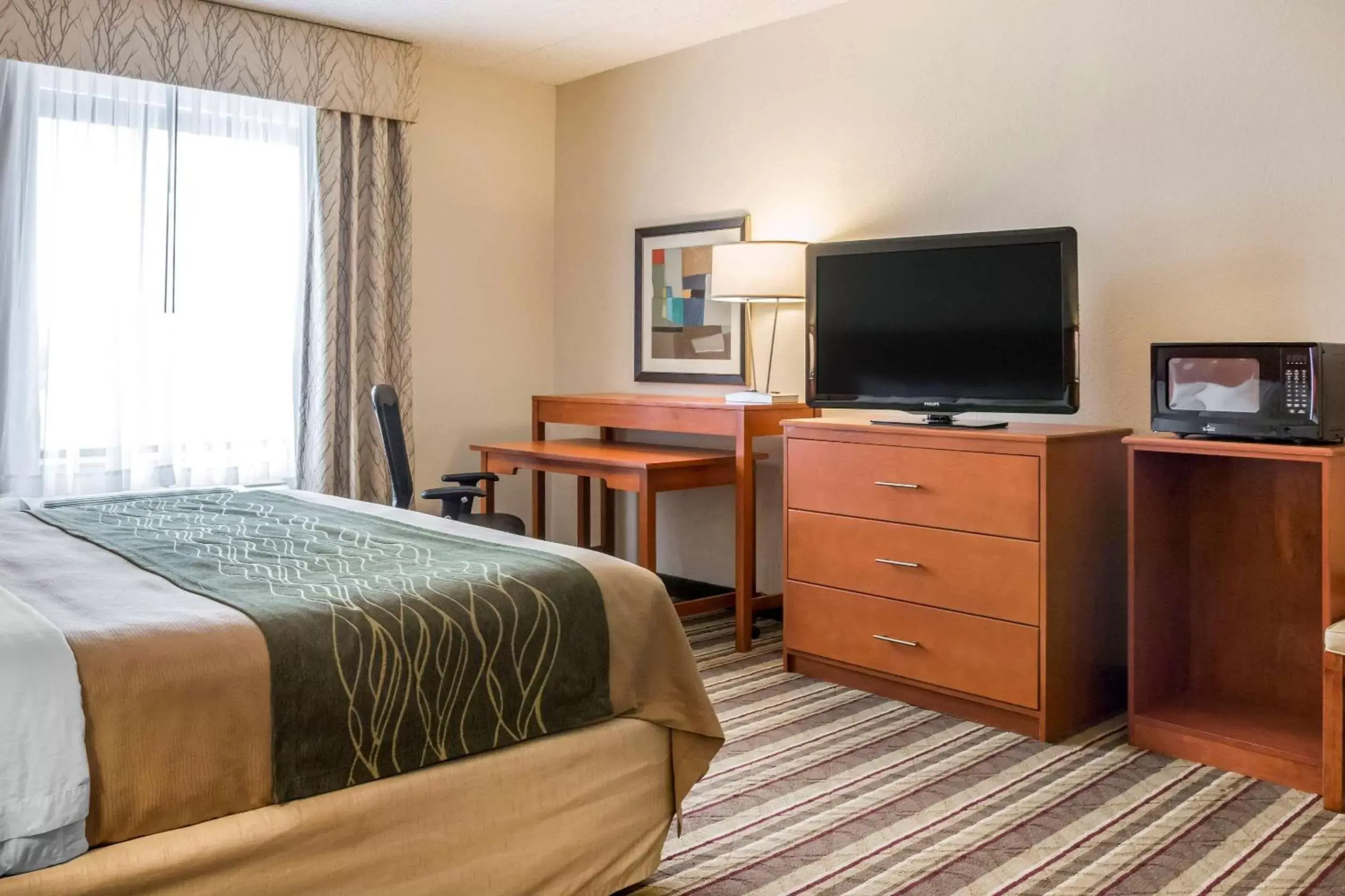 Photo of the whole room, TV/Entertainment Center in Comfort Inn Metro Airport Romulus