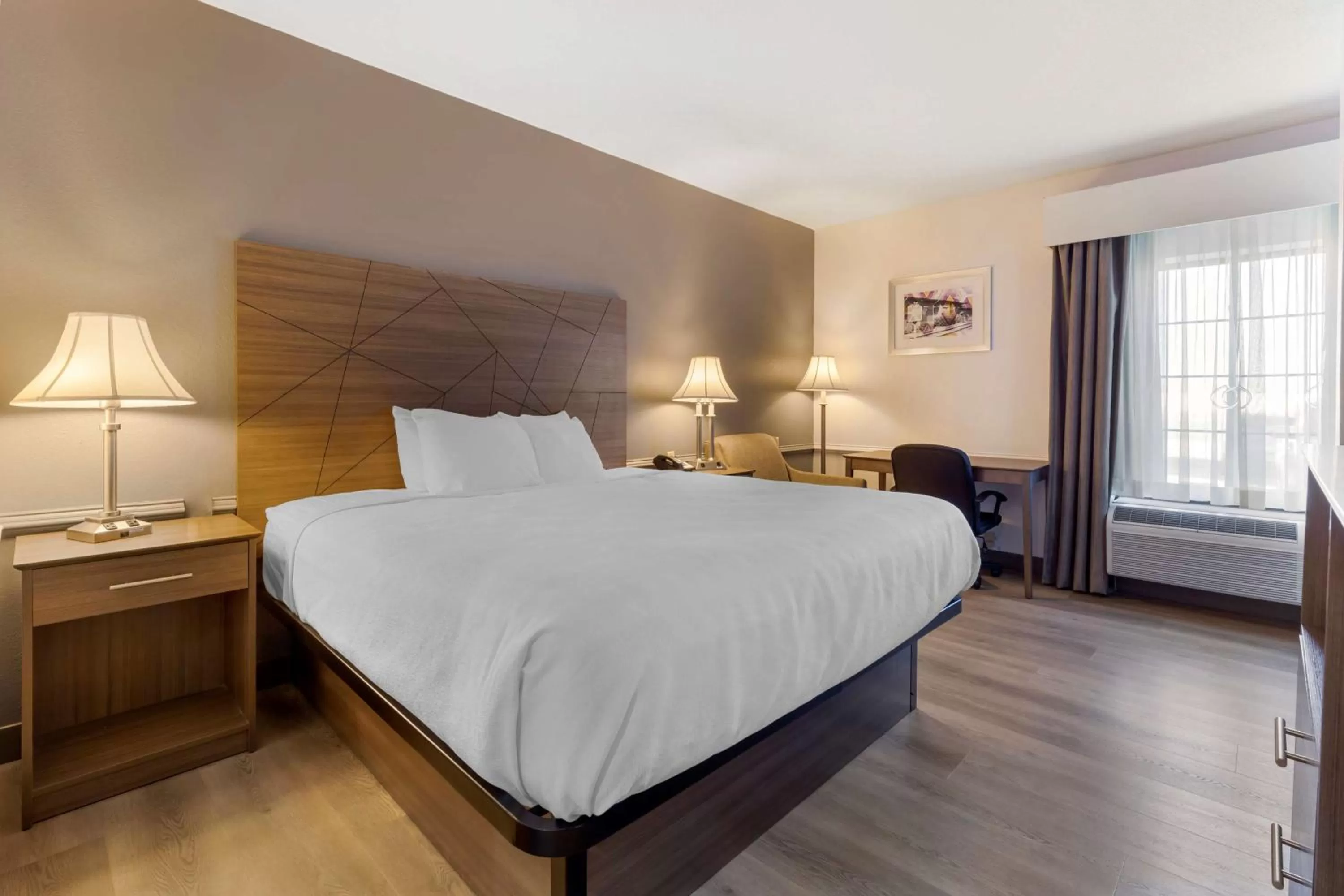 Bedroom in Best Western Plus South Hill Inn