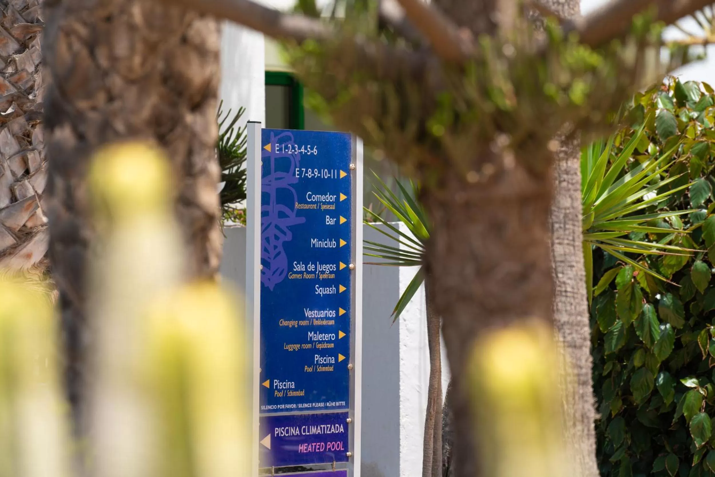 Property building in Apartamentos Galeon Playa