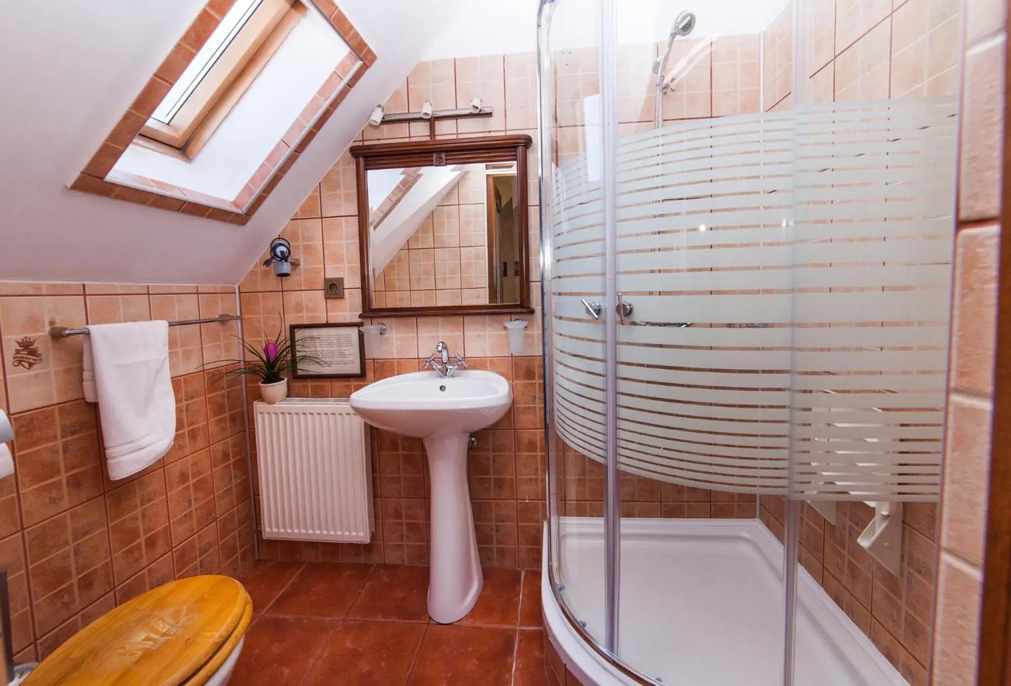 Bathroom in Pension Brasovu Vechi