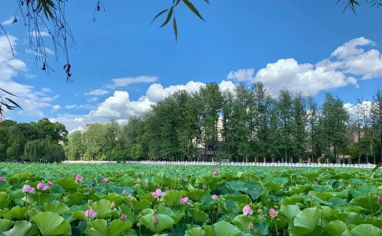 Natural landscape in Grand Park Kunming