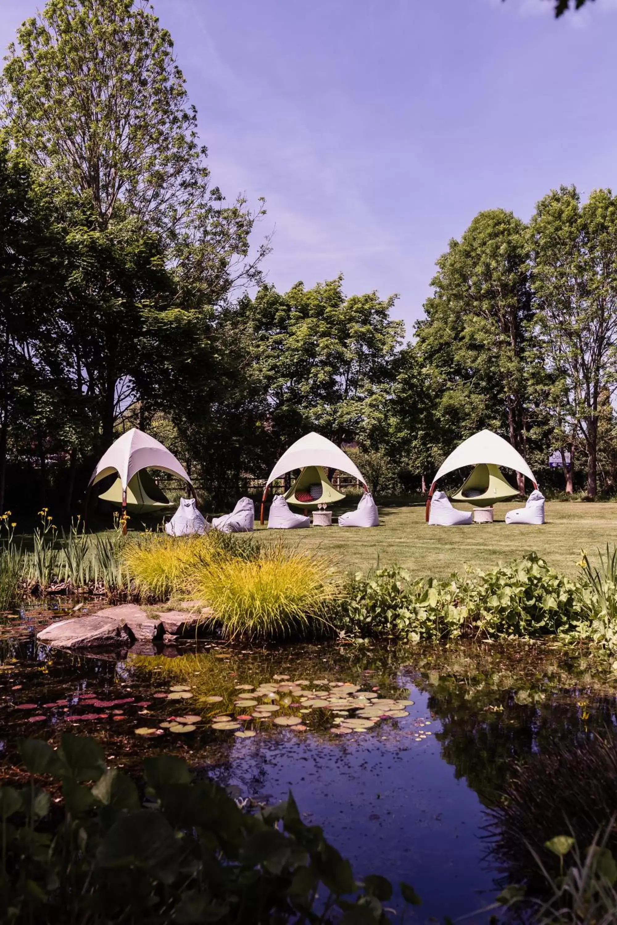 Garden in Stirrups Hotel