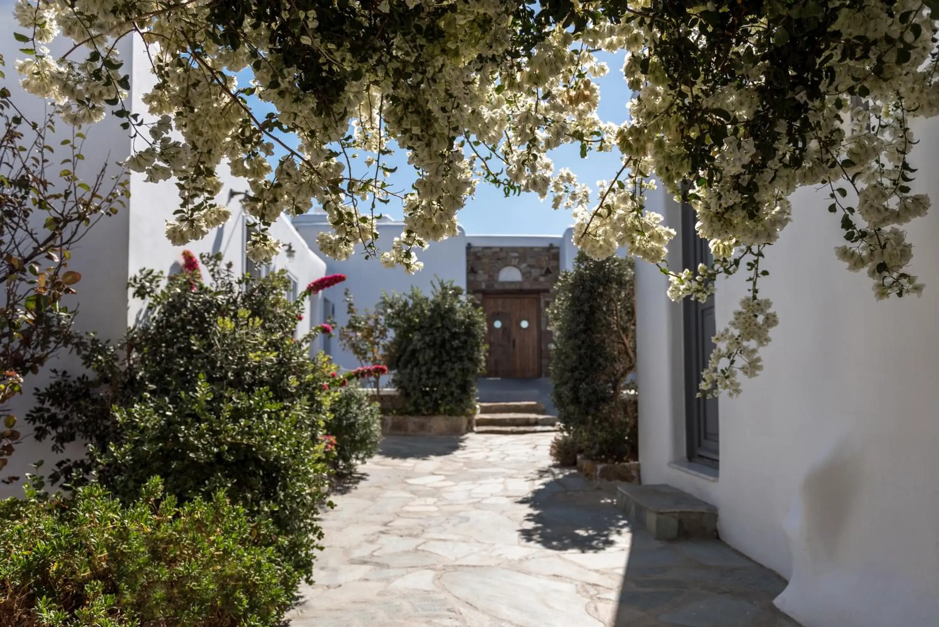 Garden in A Hotel Mykonos