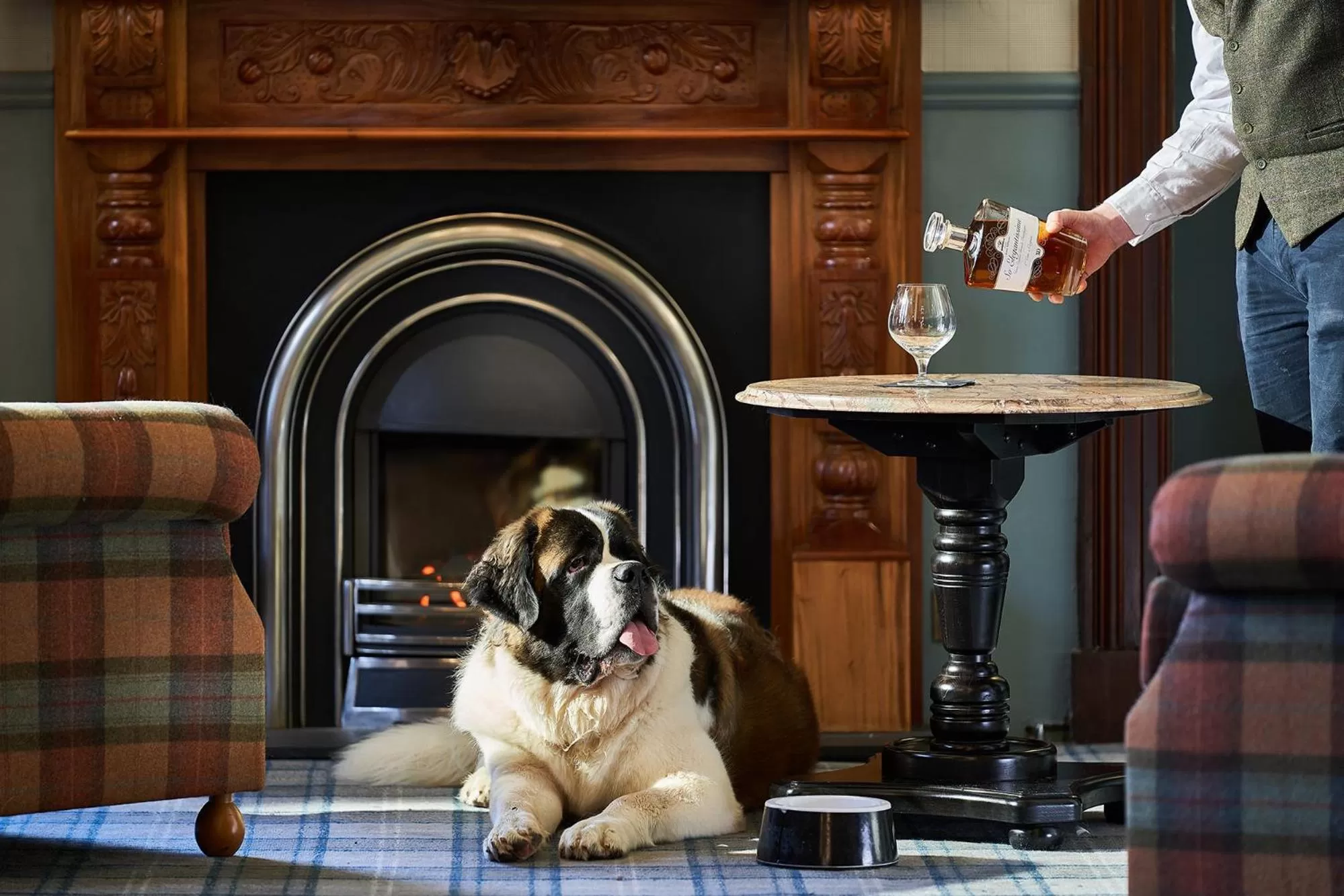 Pets in Oban Bay Hotel