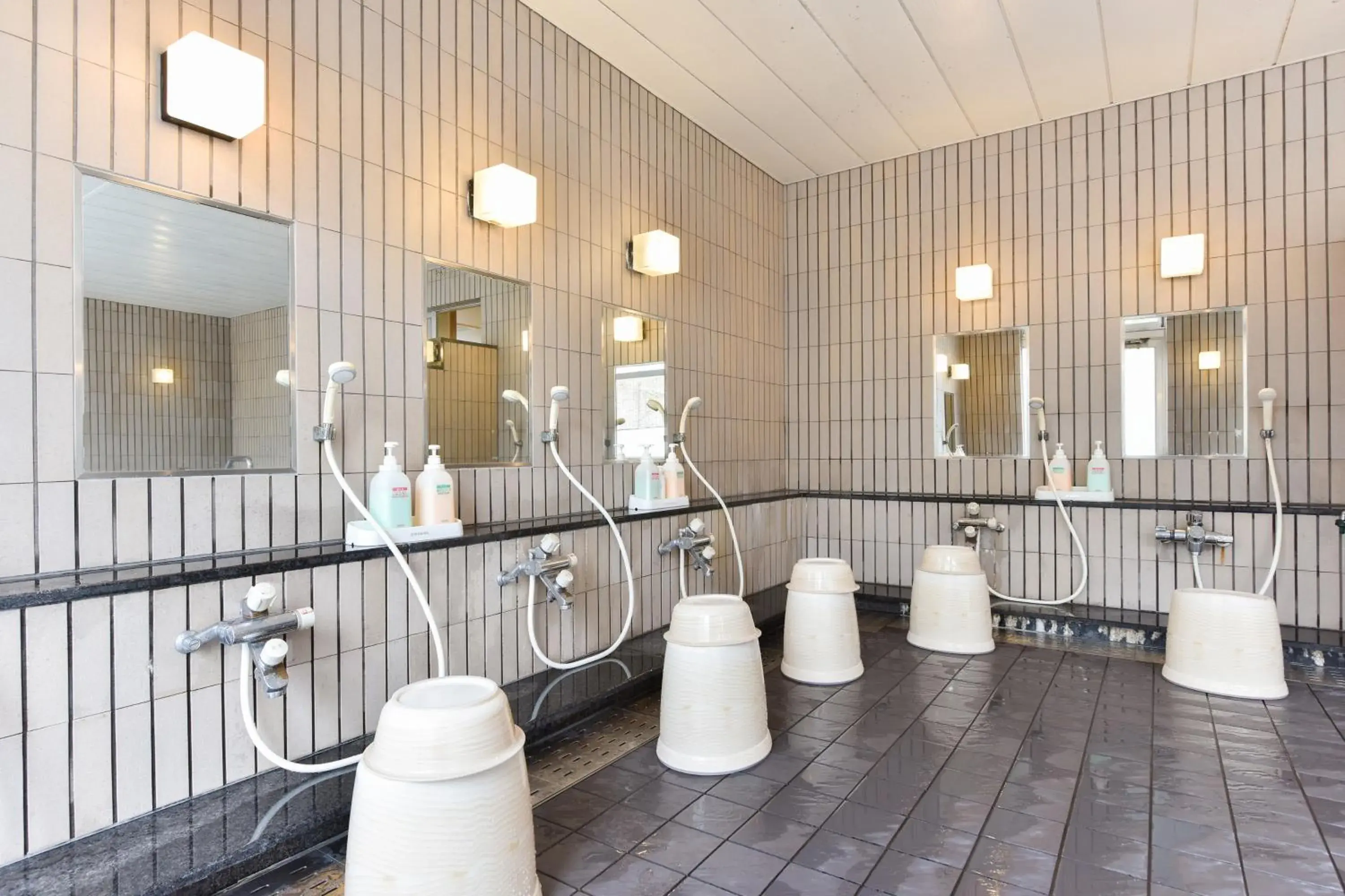 Public Bath, Bathroom in Fujiya Ryokan