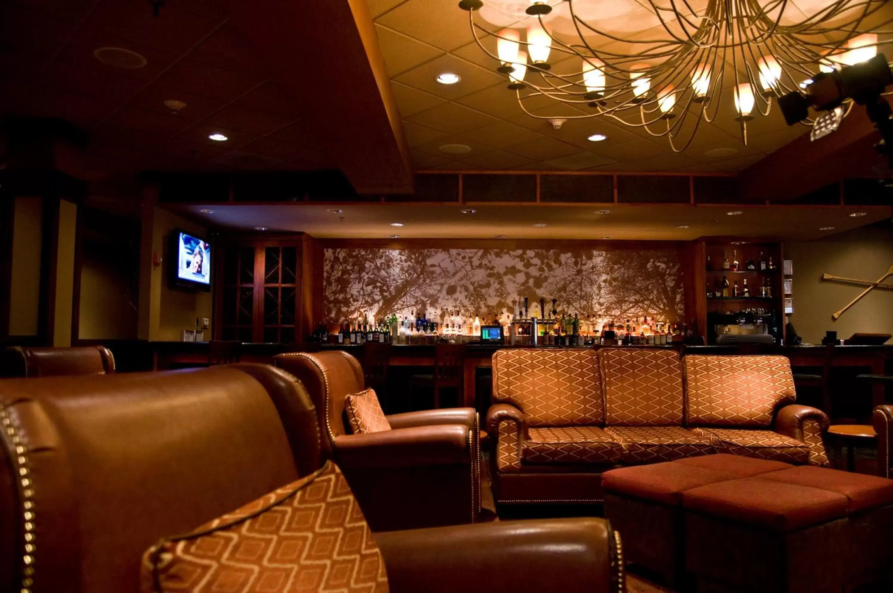 Lounge or bar, Lounge/Bar in DoubleTree by Hilton Chicago - Arlington Heights