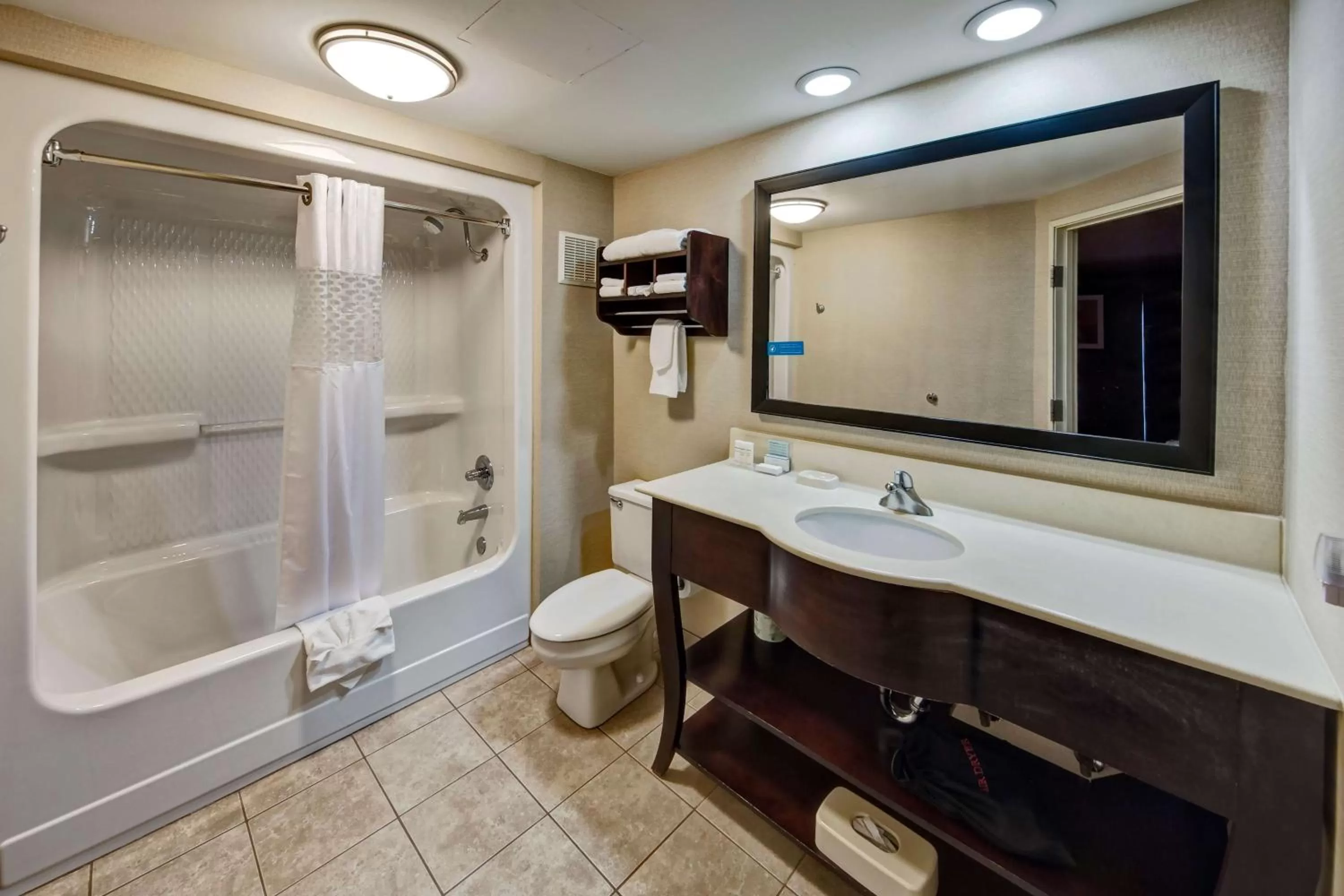 Bathroom in Hampton Inn by Hilton Clarksville