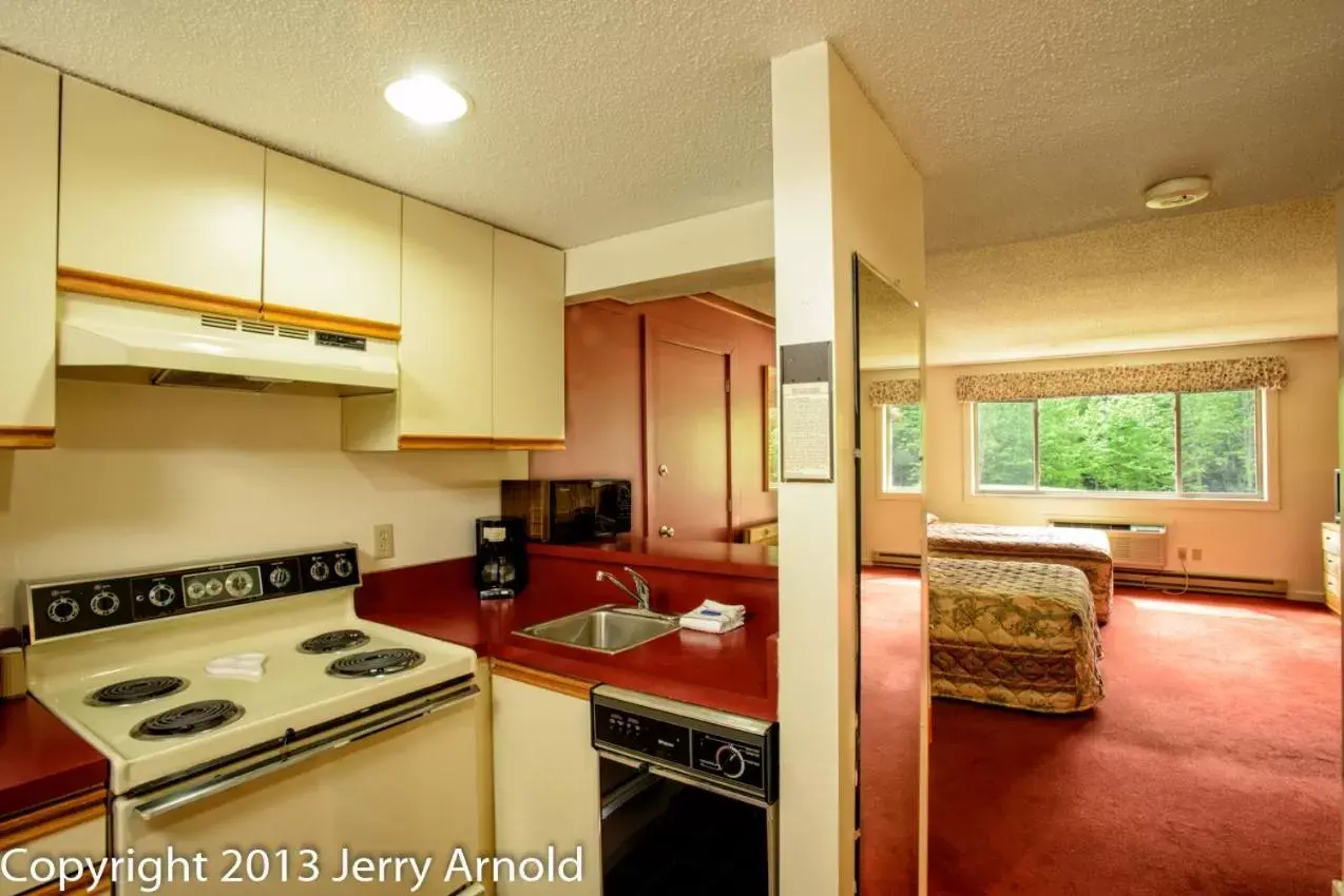 Photo of the whole room, Kitchen/Kitchenette in Snowy Owl Inn