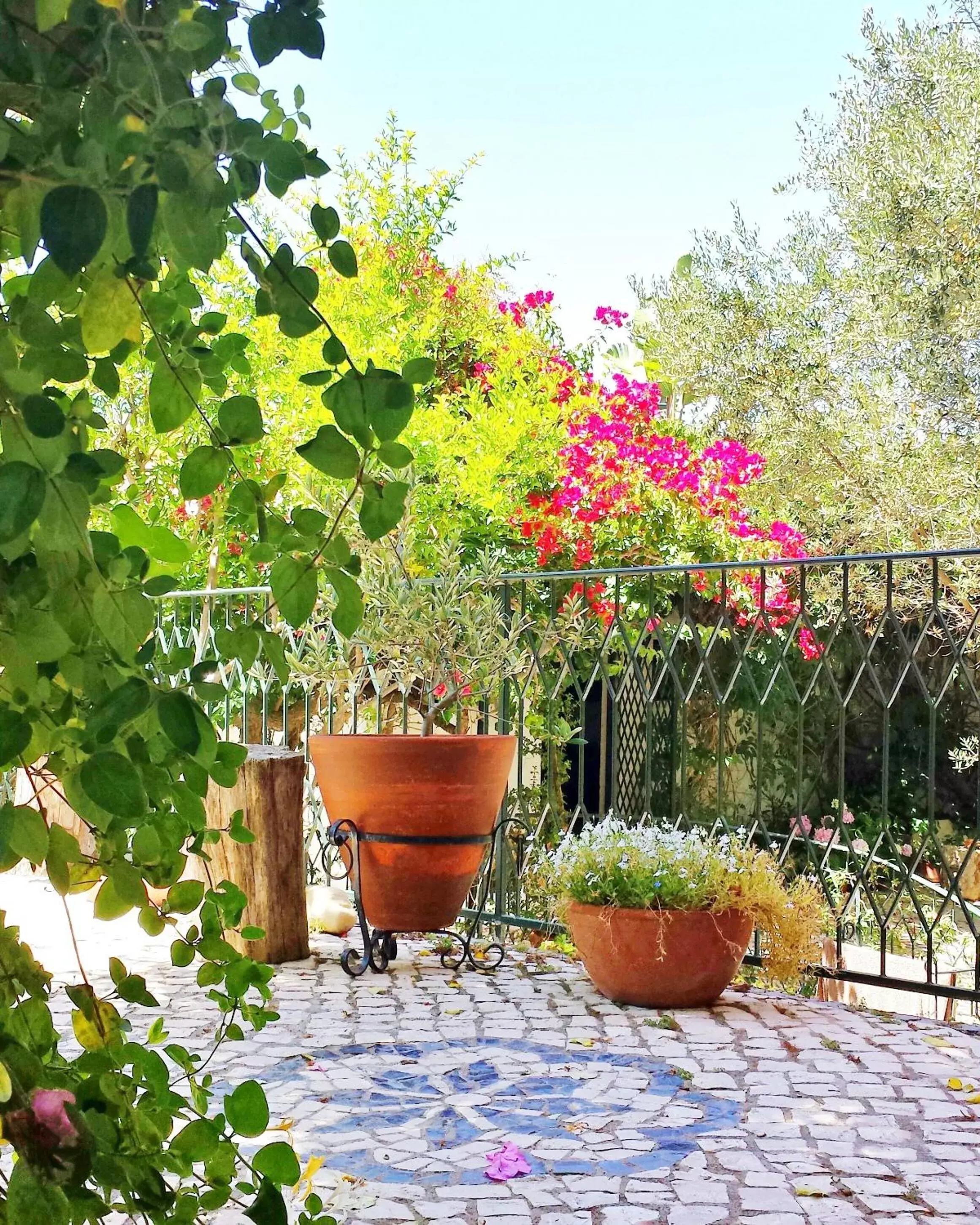 Garden in Uma Casa a Beira Sol