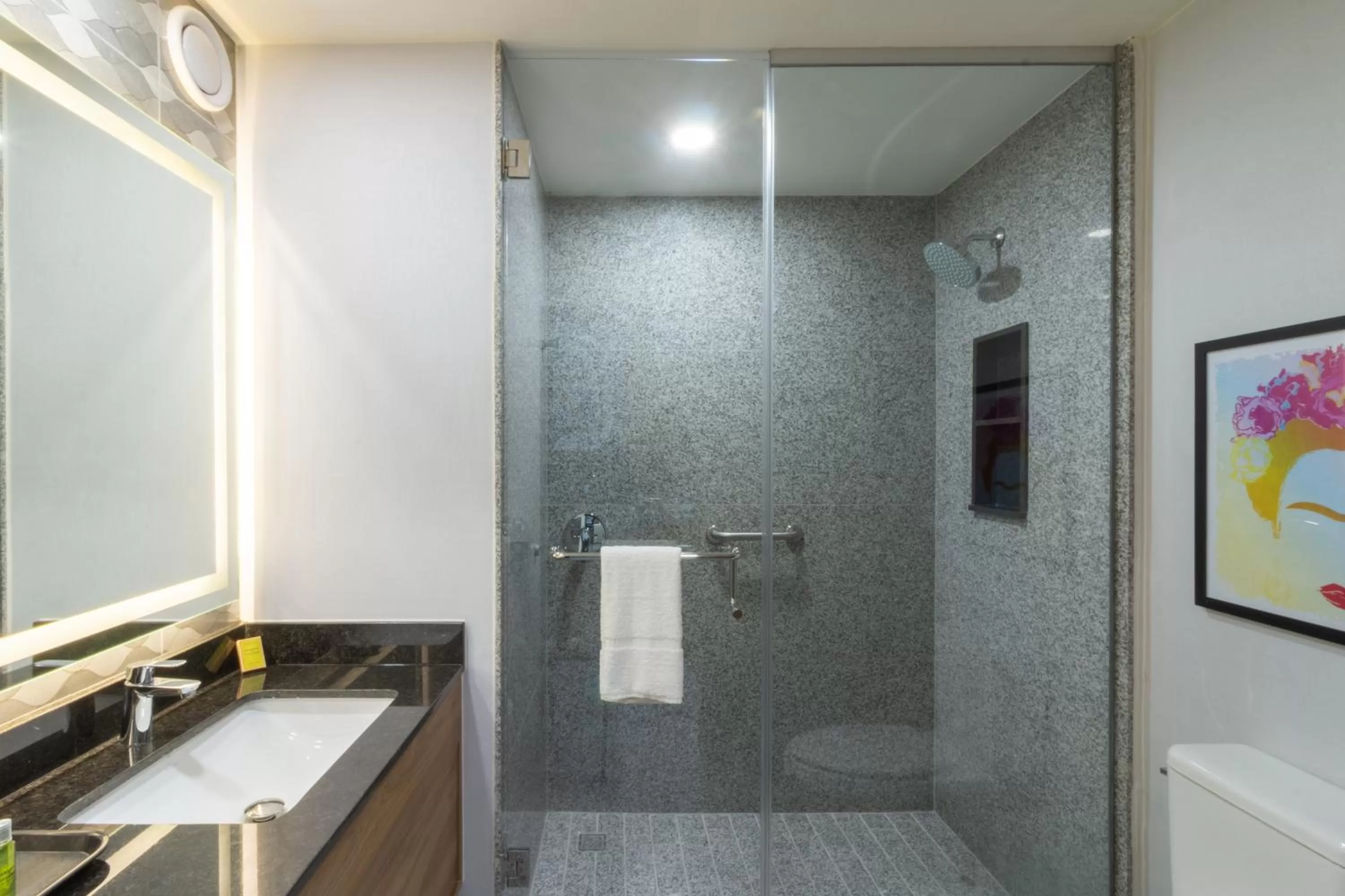 Bathroom in Hampton by Hilton Aguascalientes Downtown