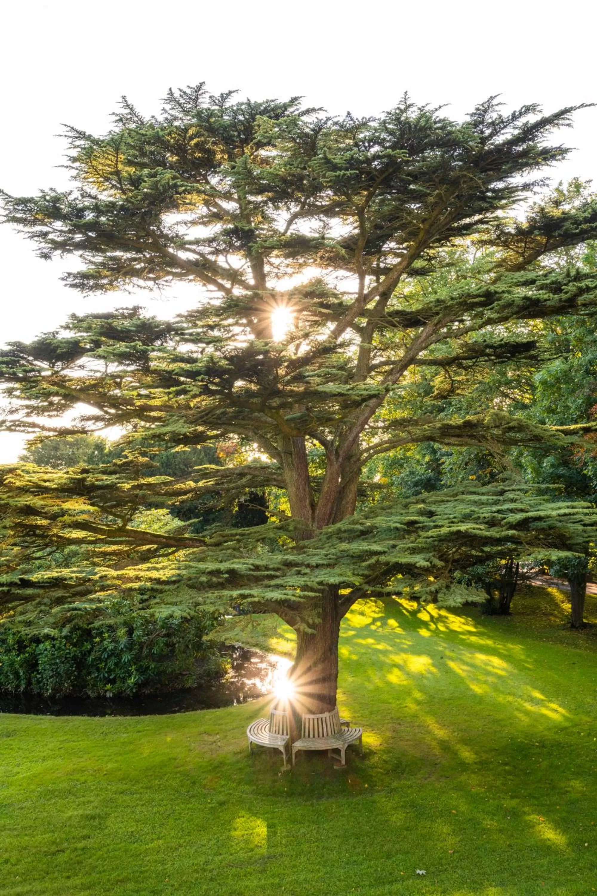 Garden in Farlam Hall Hotel & Restaurant