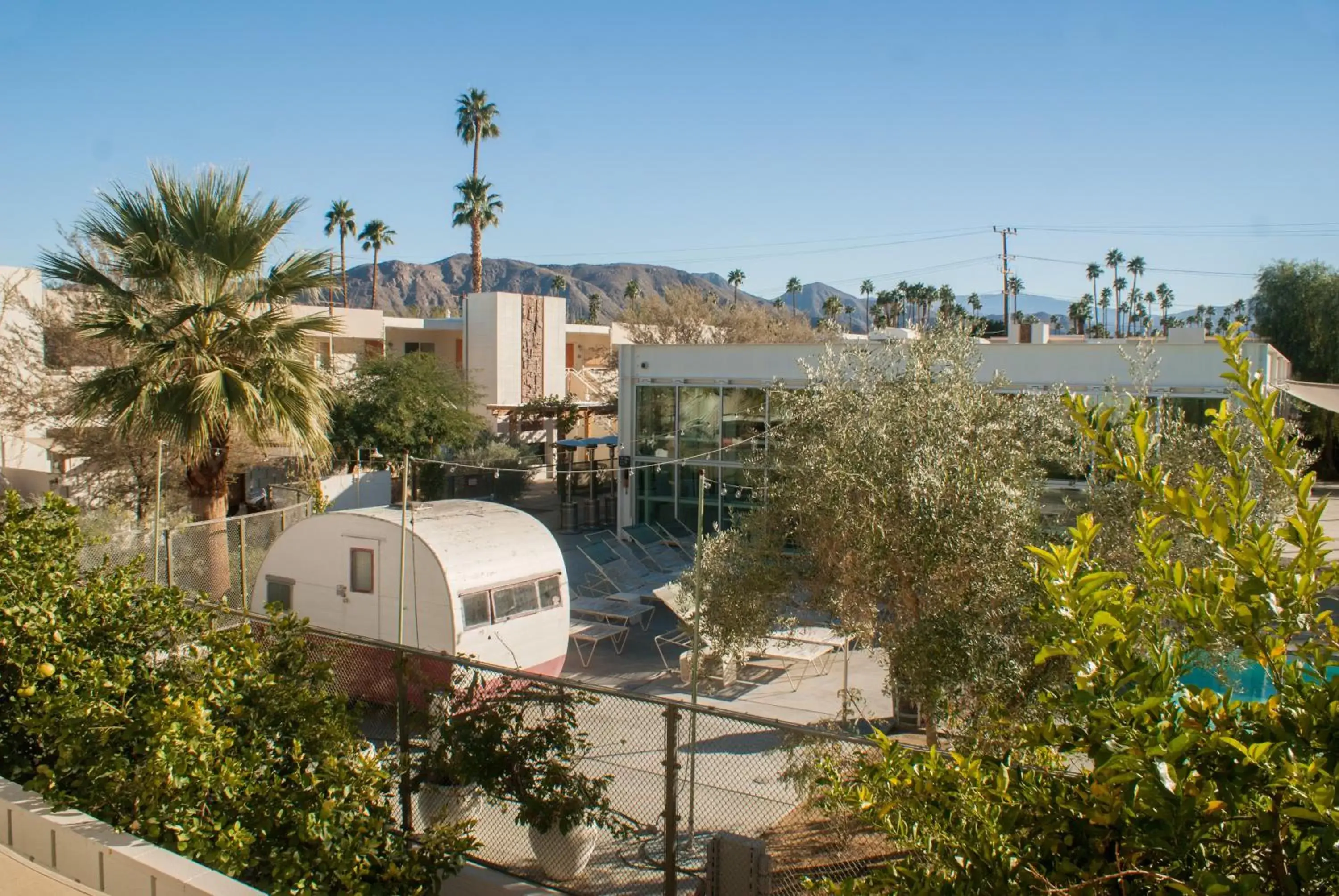 Area and facilities in Ace Hotel and Swim Club Palm Springs