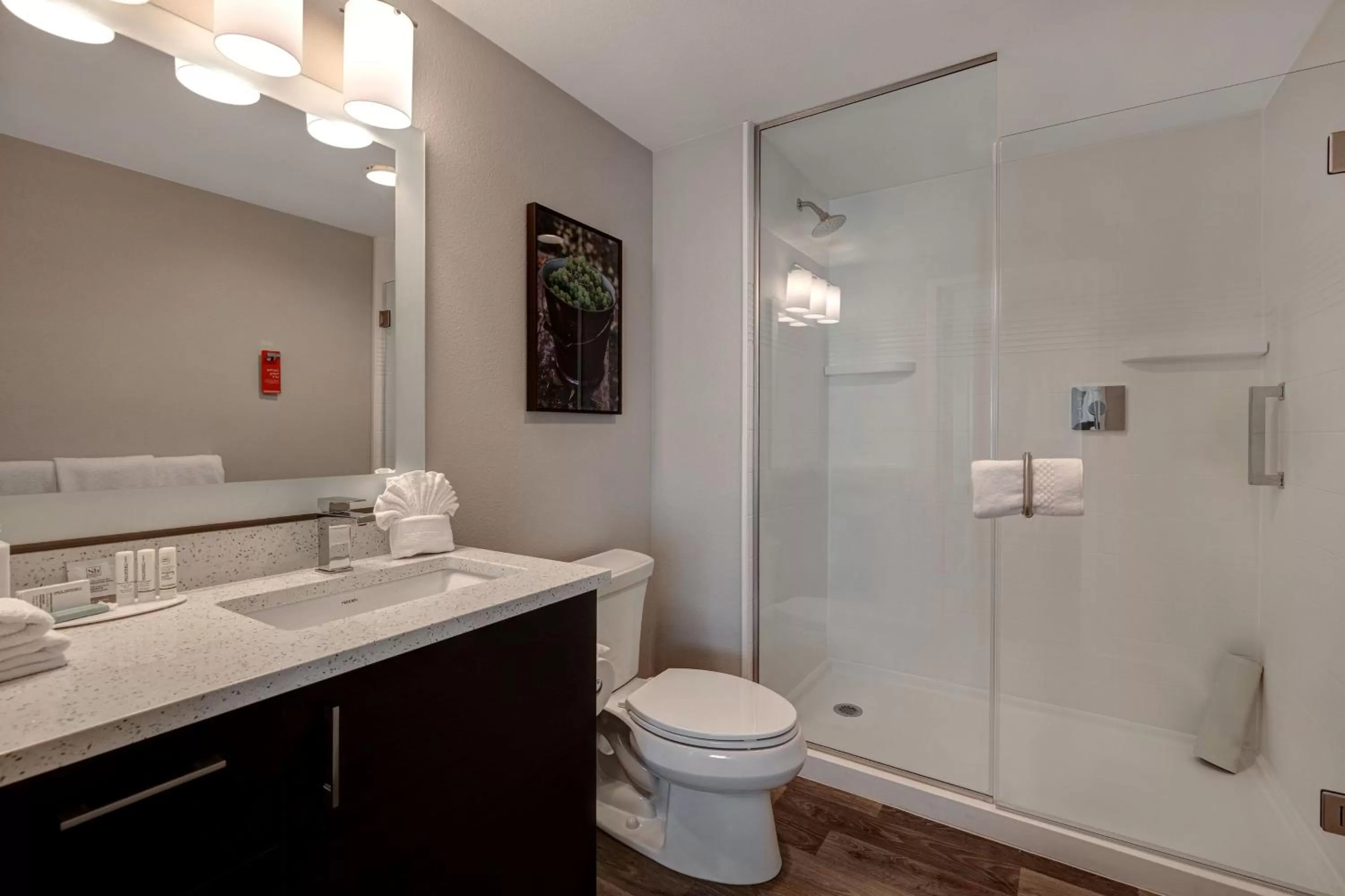 Bathroom in TownePlace Suites by Marriott San Luis Obispo