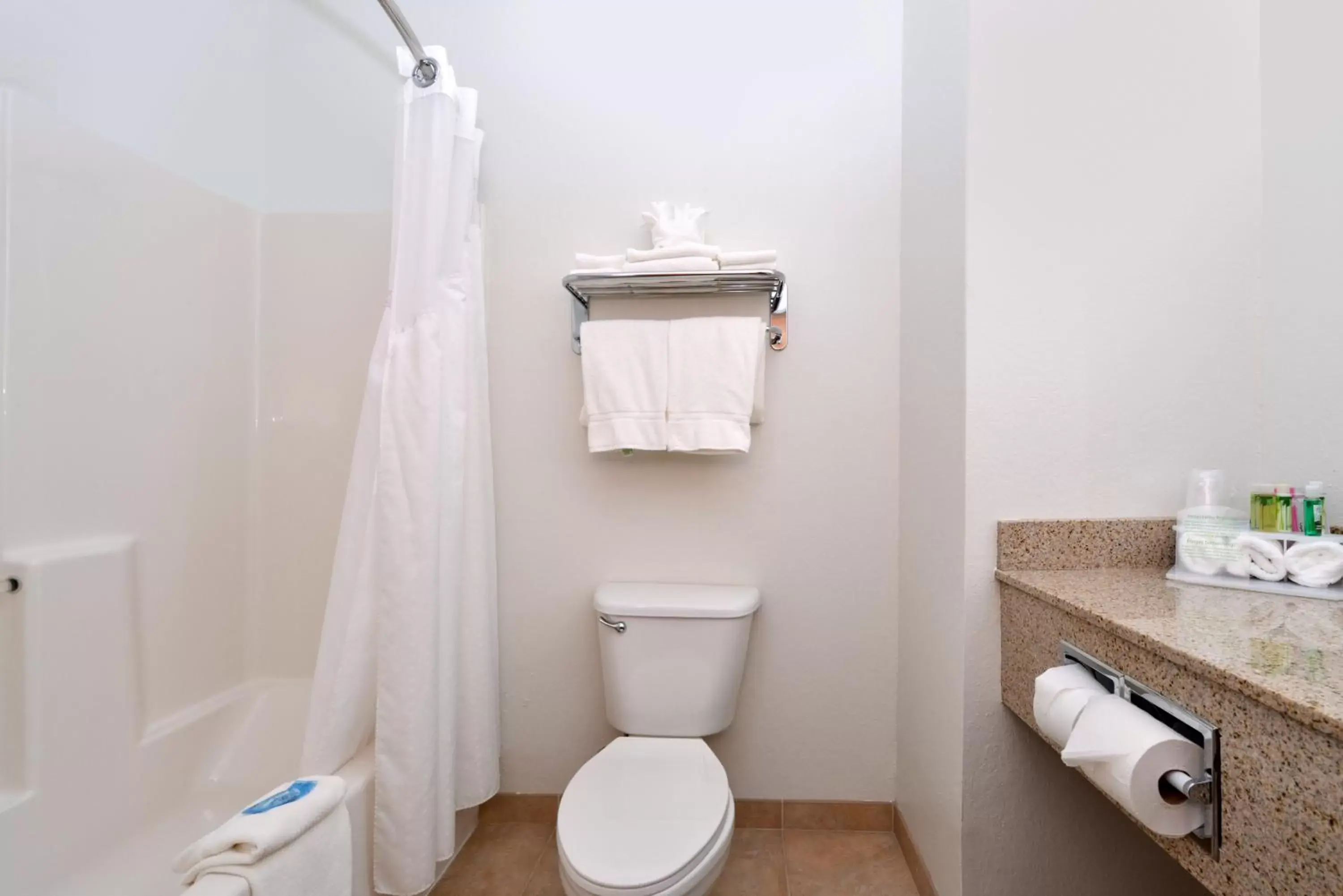 Bathroom in Holiday Inn Express Hotel & Suites Omaha West, an IHG Hotel