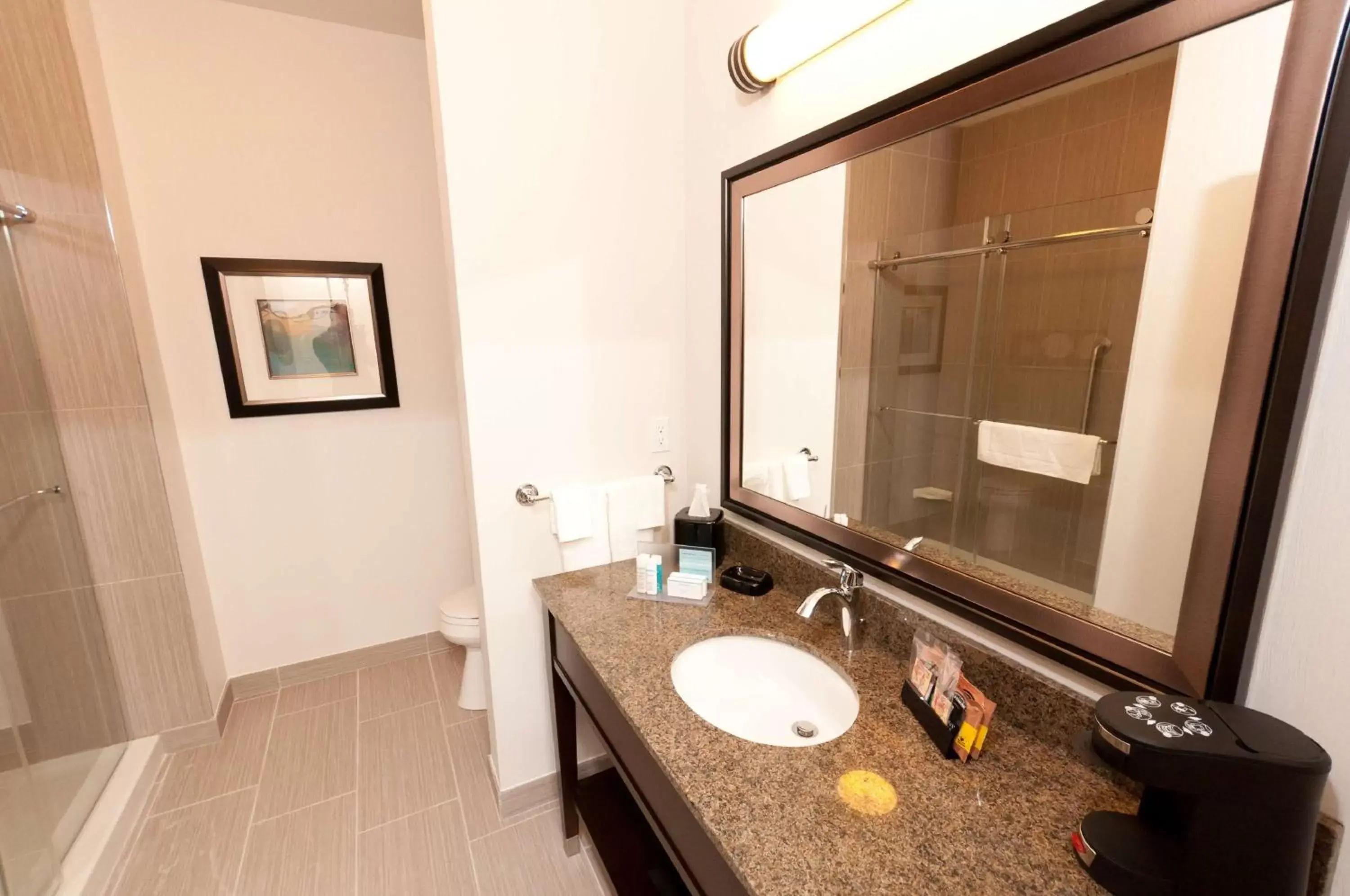 Bathroom in Hampton Inn & Suites East Gate Regina