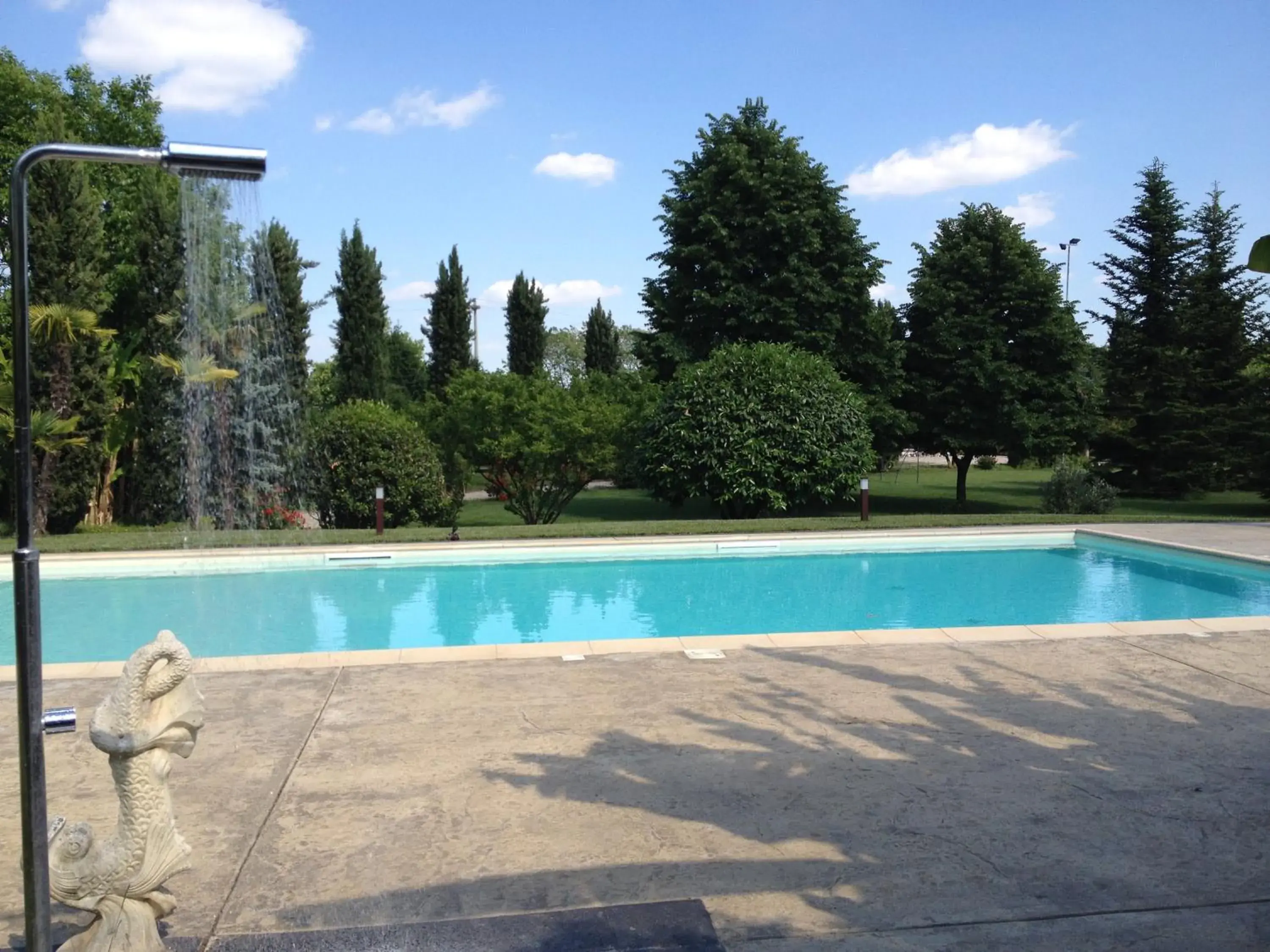 Swimming Pool in Park Hotel Elefante