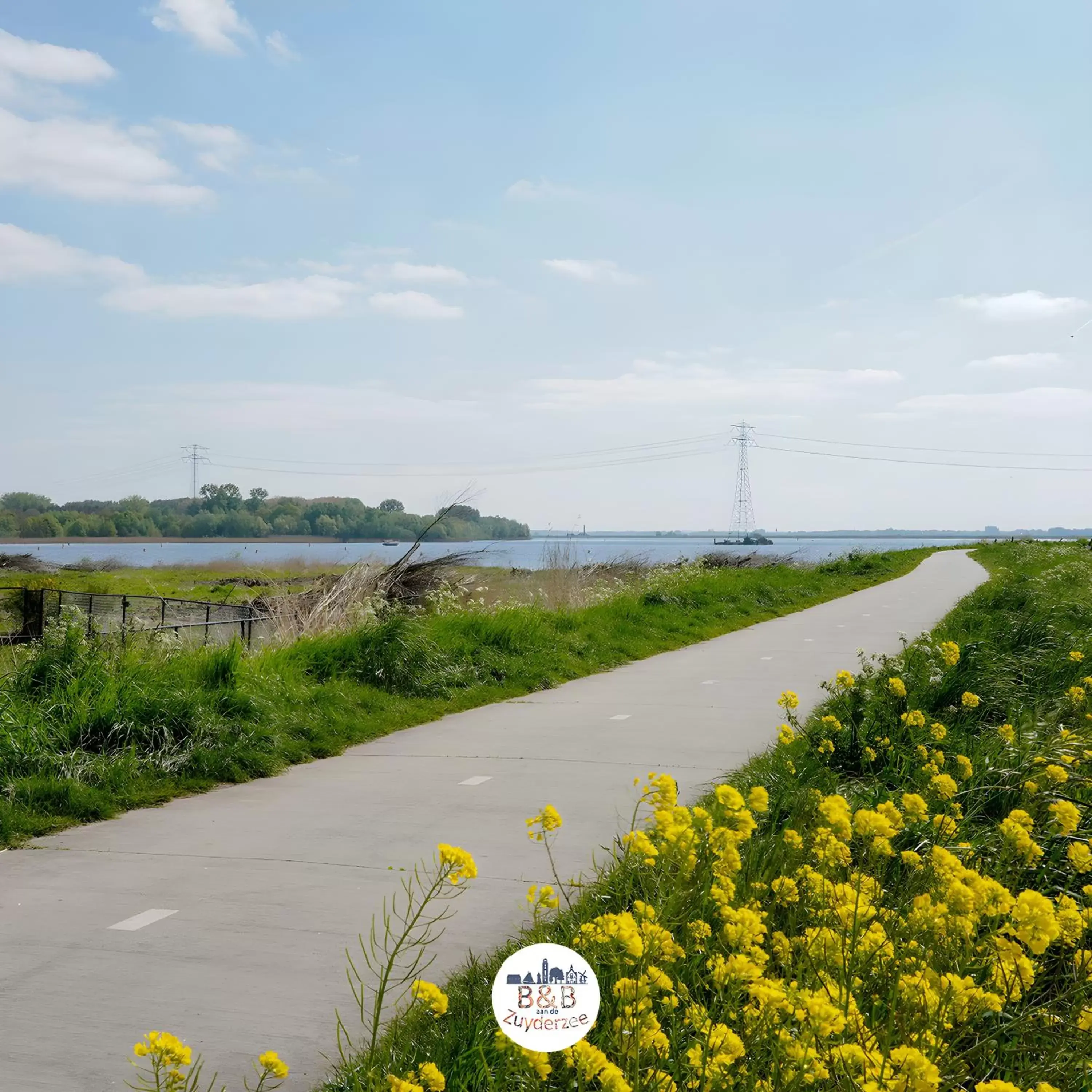 Neighbourhood in BB aan de Zuyderzee