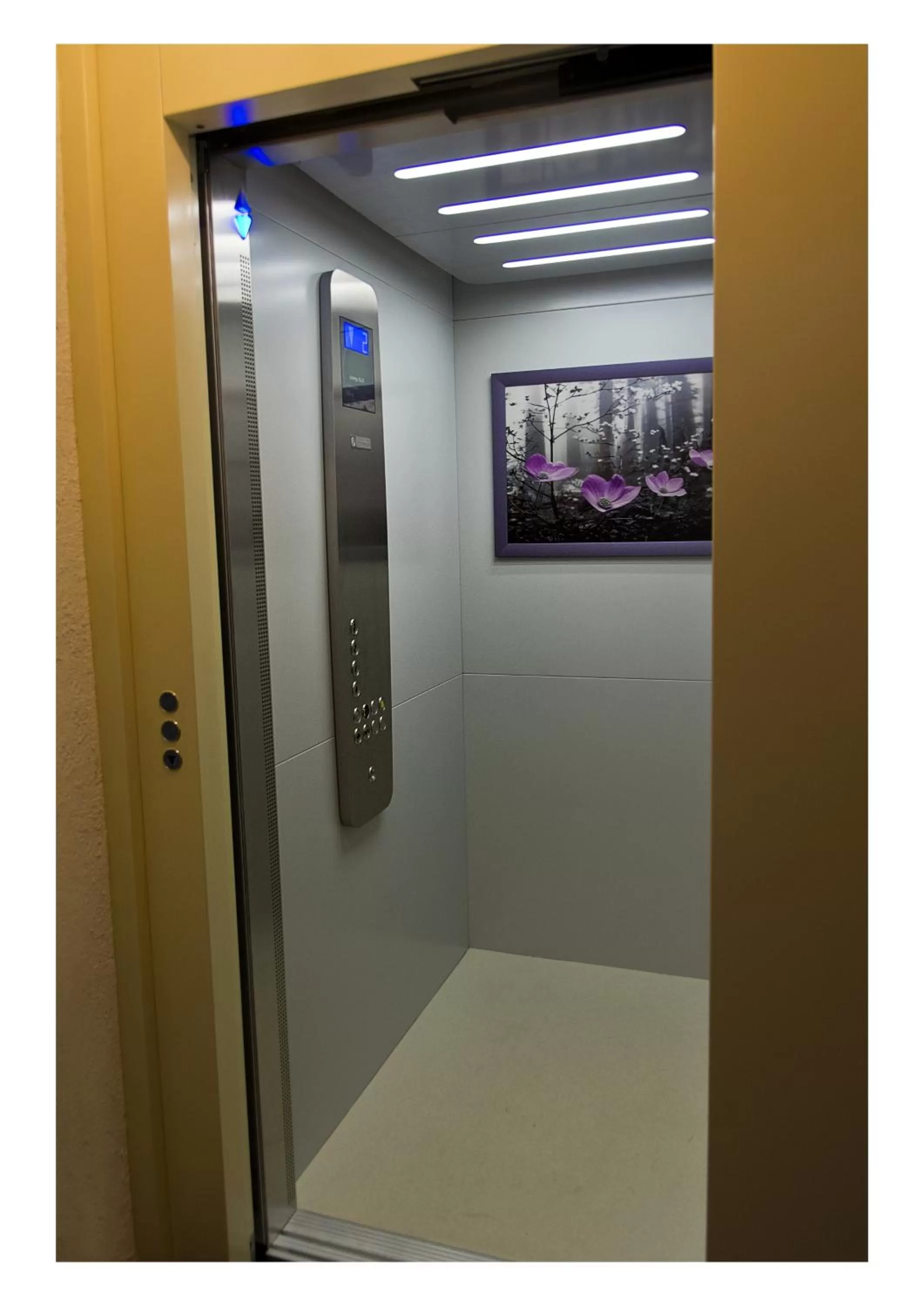 Other in Öko-Landhotel Basler Hof