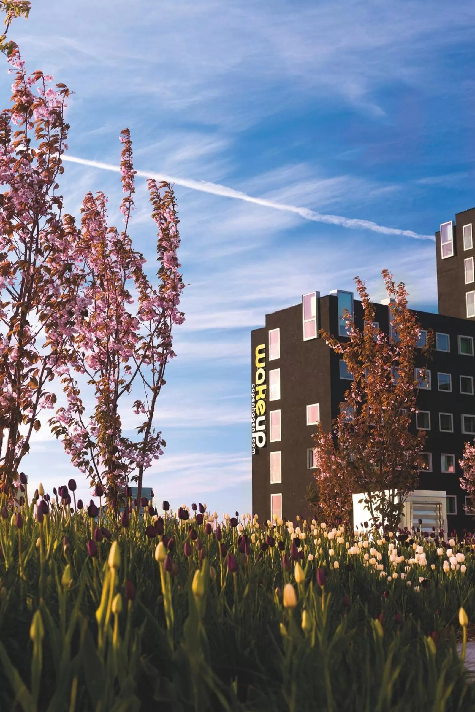 Facade/entrance in Wakeup Copenhagen - Carsten Niebuhrs Gade