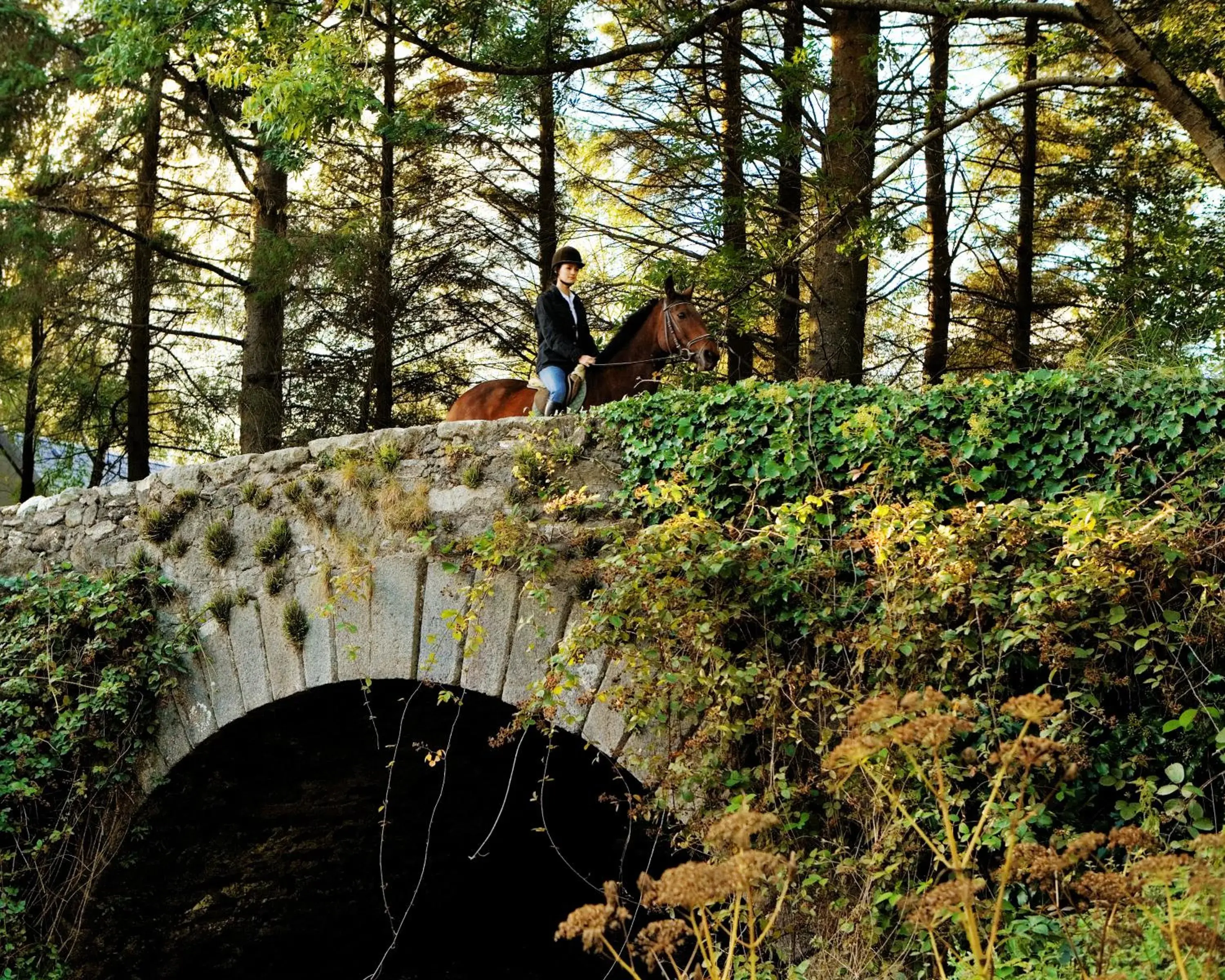 Horse-riding in BrookLodge & Macreddin Village