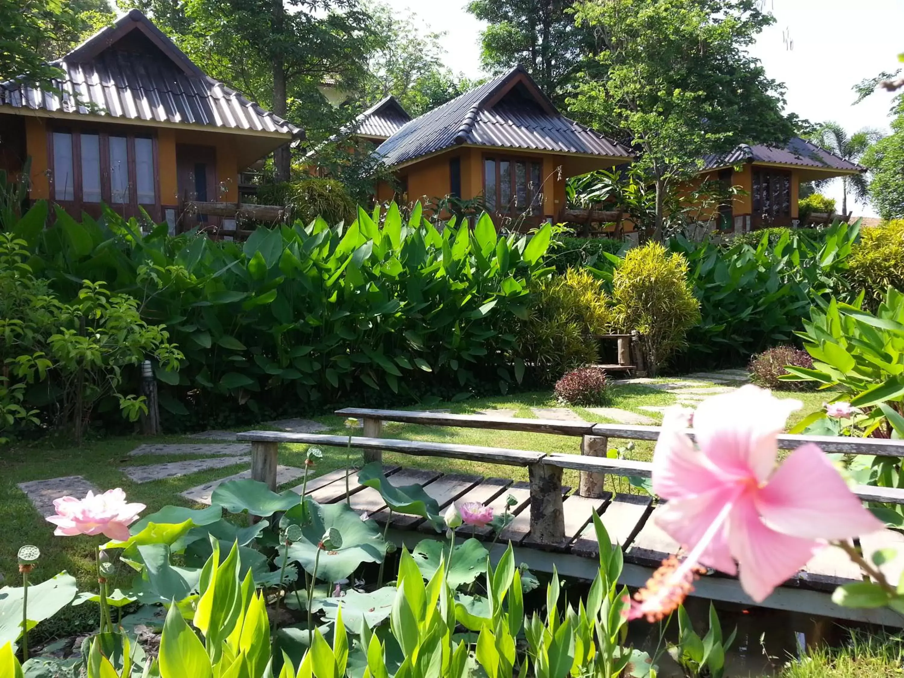 Property building, Garden in Pura Vida Pai Resort