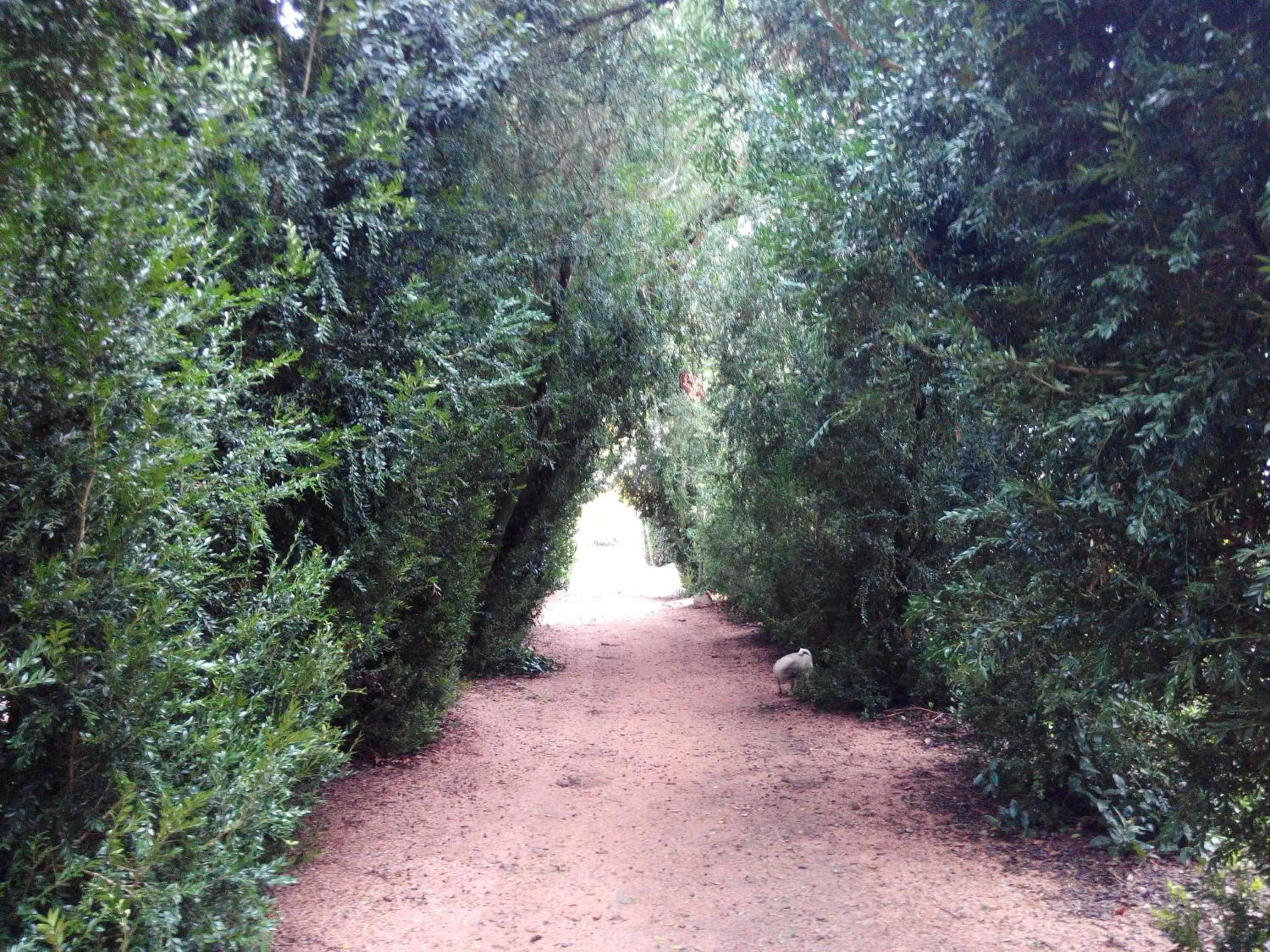 Garden in Hotel Rural Quinta de Santo Antonio