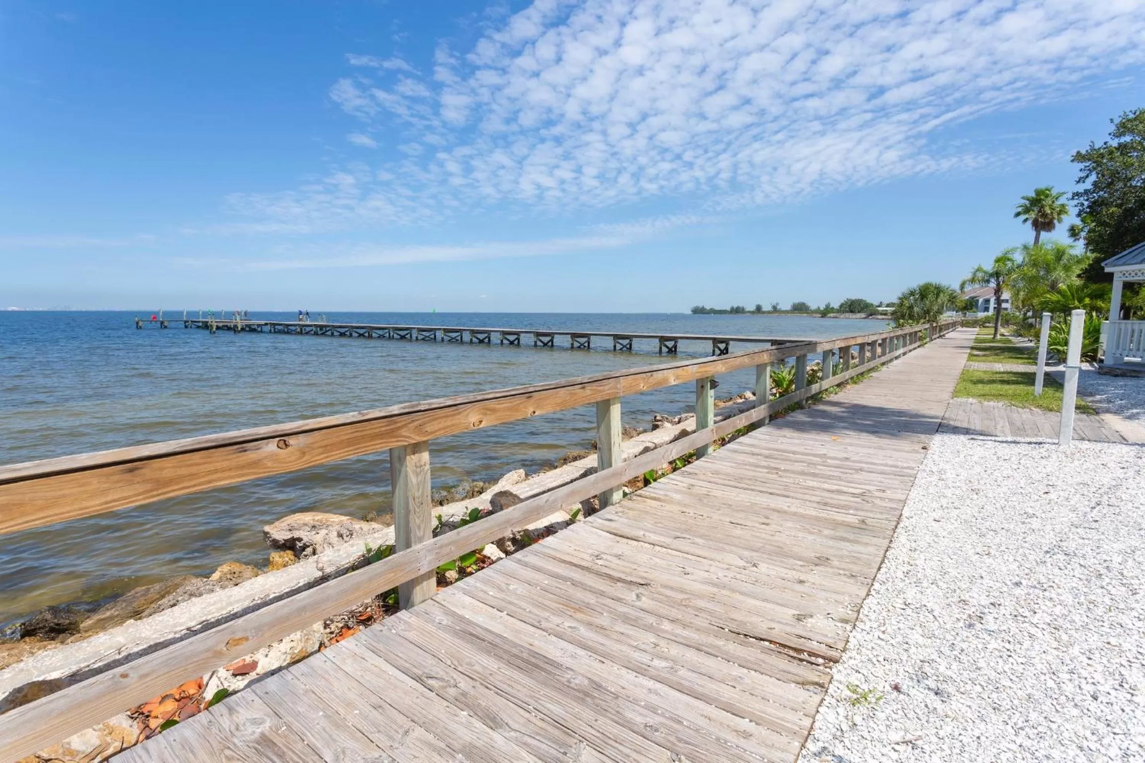 Sea view in TAMPA BAY, BEACH step away, WIFI, FREE PARKING,POOLS, JACUZZI