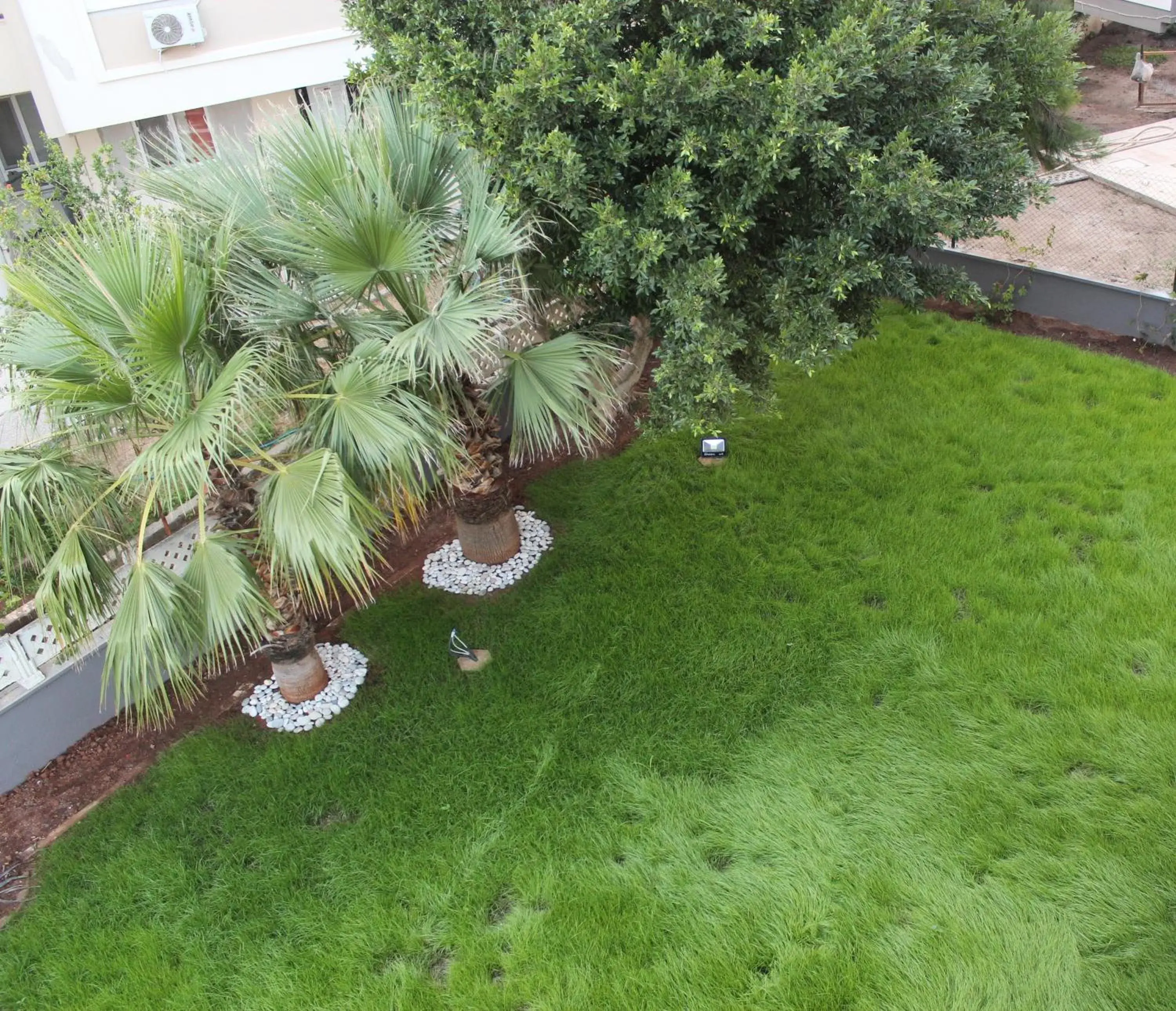 Garden in El Mundo Suites