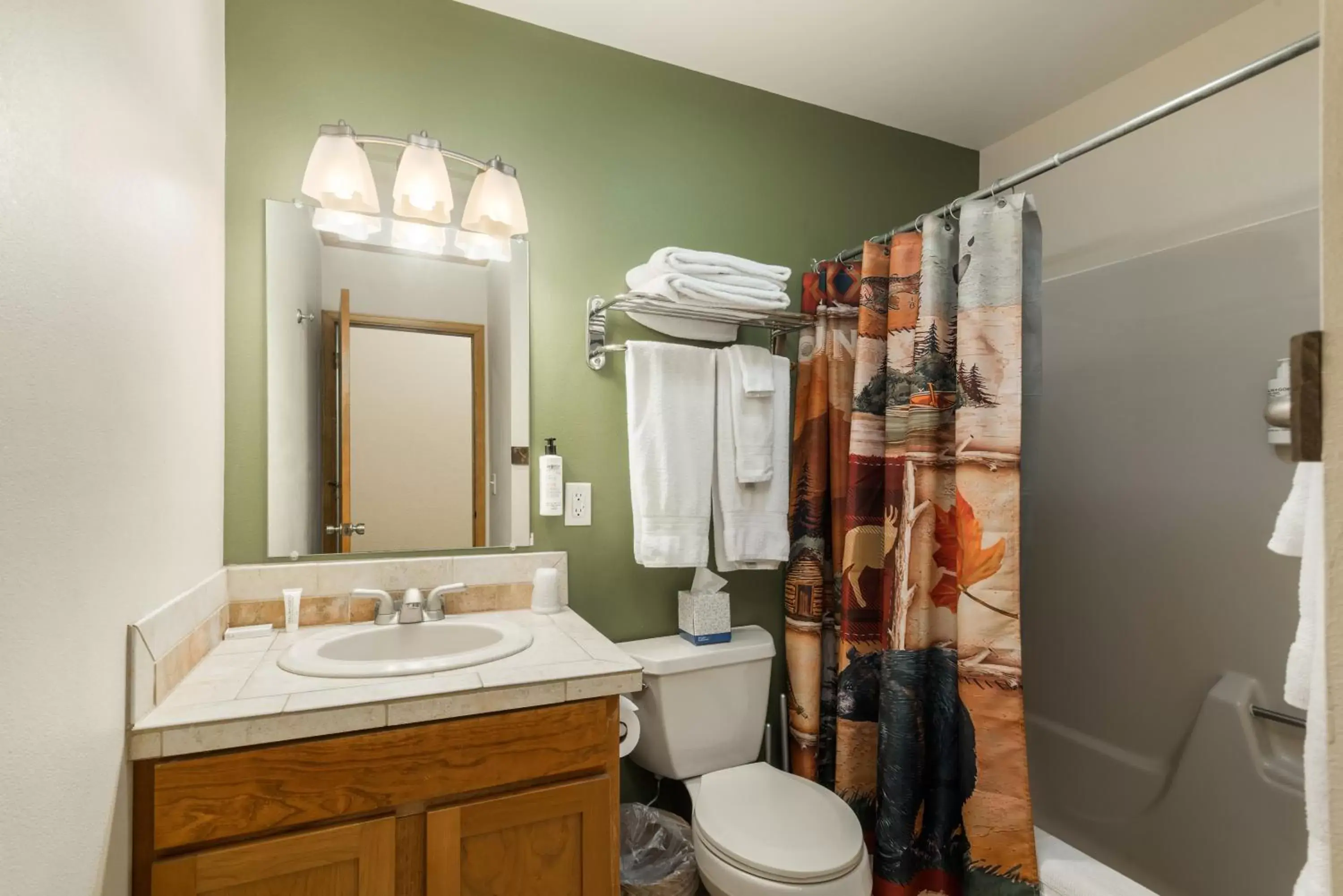 Bathroom in Ponderosa Lodge