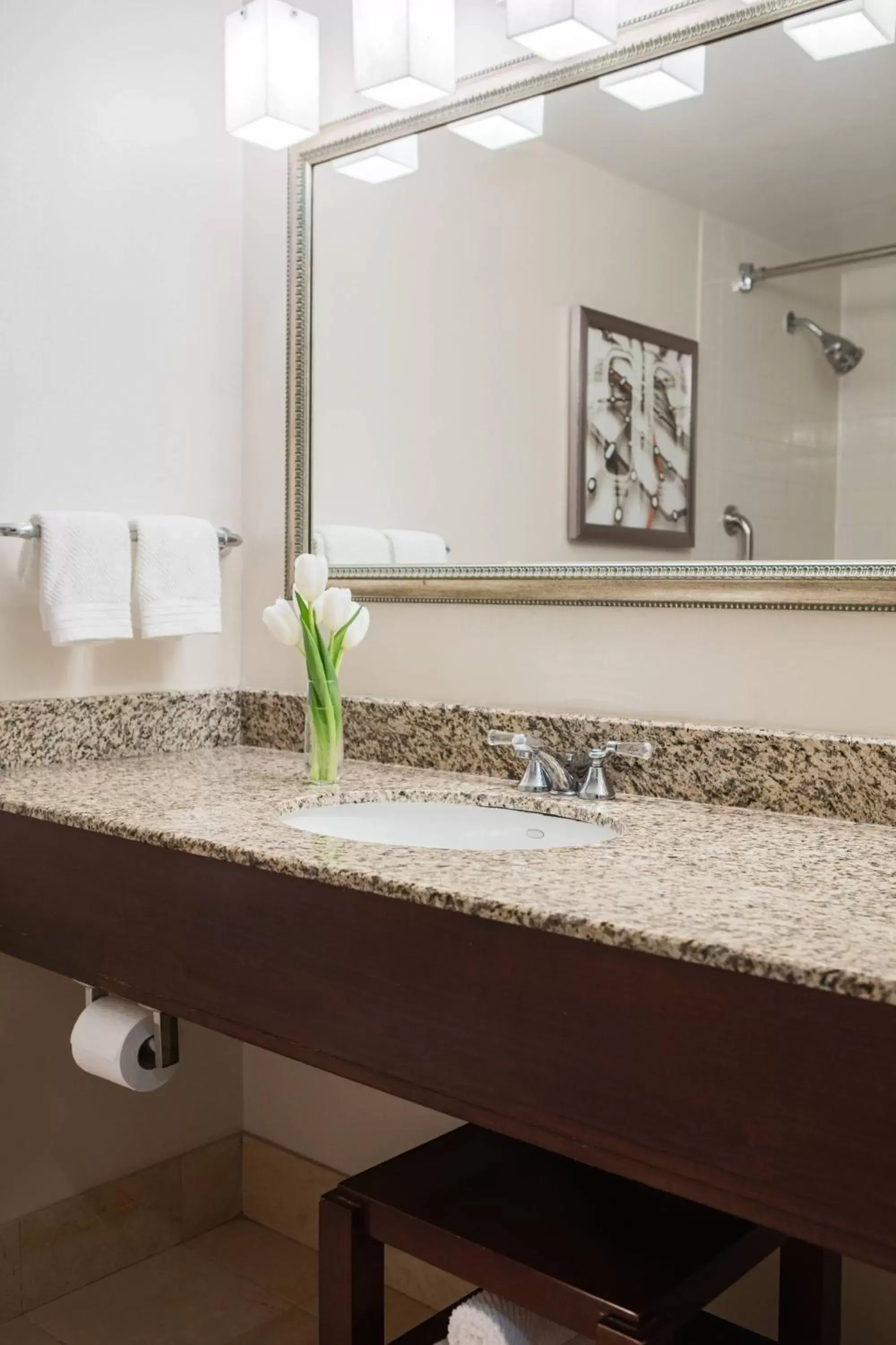 Bathroom in Renaissance Newark Airport Hotel