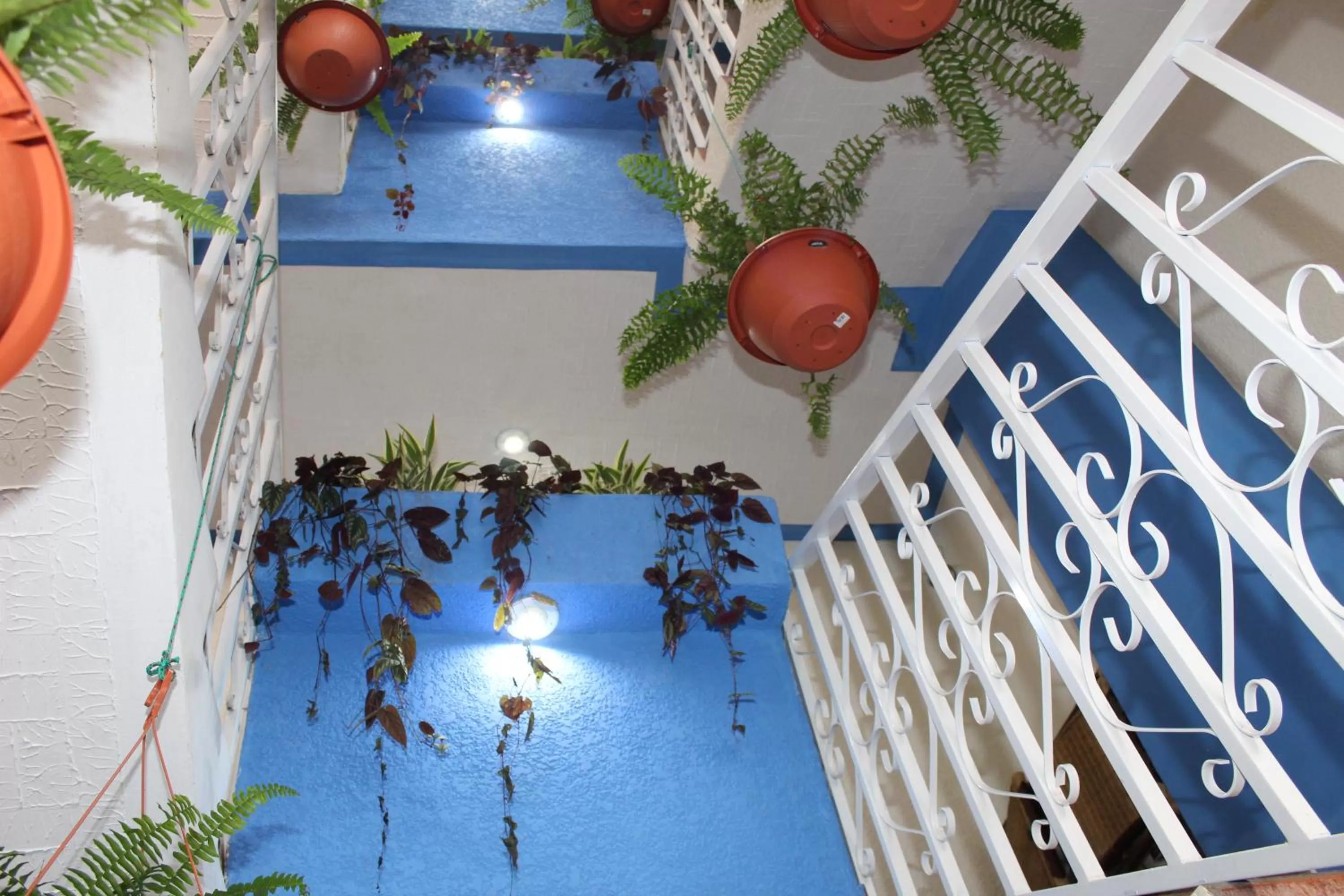Bird's eye view, Pool View in hotel kasa kamelot 2