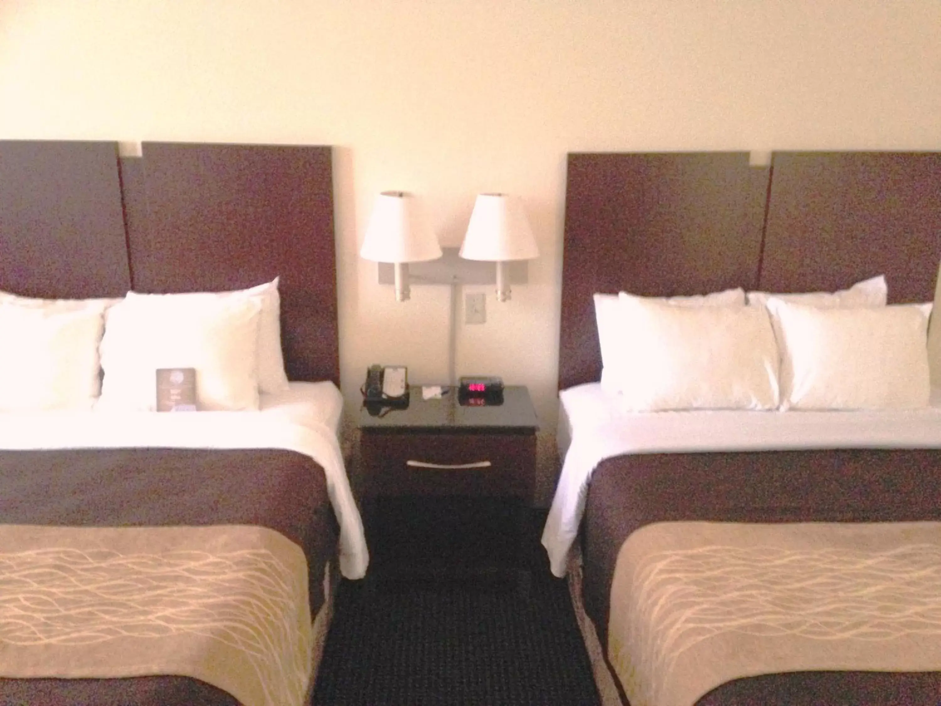 Queen Room with Two Queen Beds - Non-Smoking in Comfort Inn & Suites Ft.Jackson Maingate