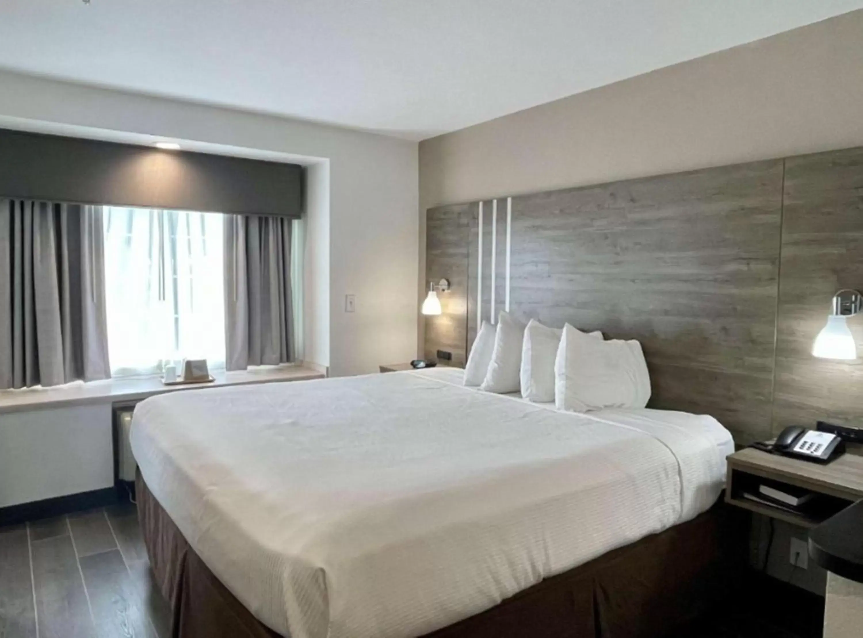 Bedroom, Bed in Best Western Roanoke Inn & Suites