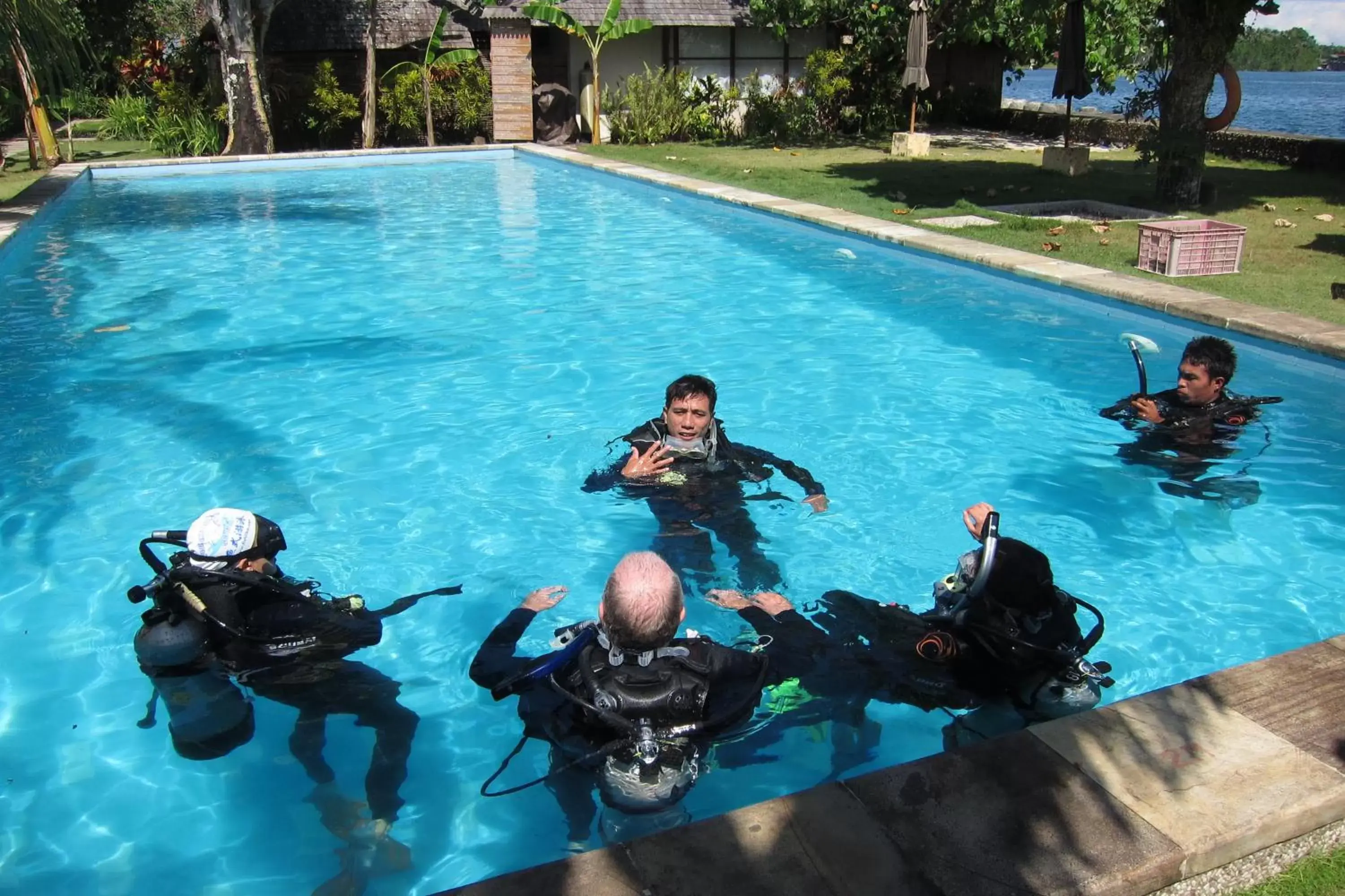 Diving, Swimming Pool in Cocotinos Manado