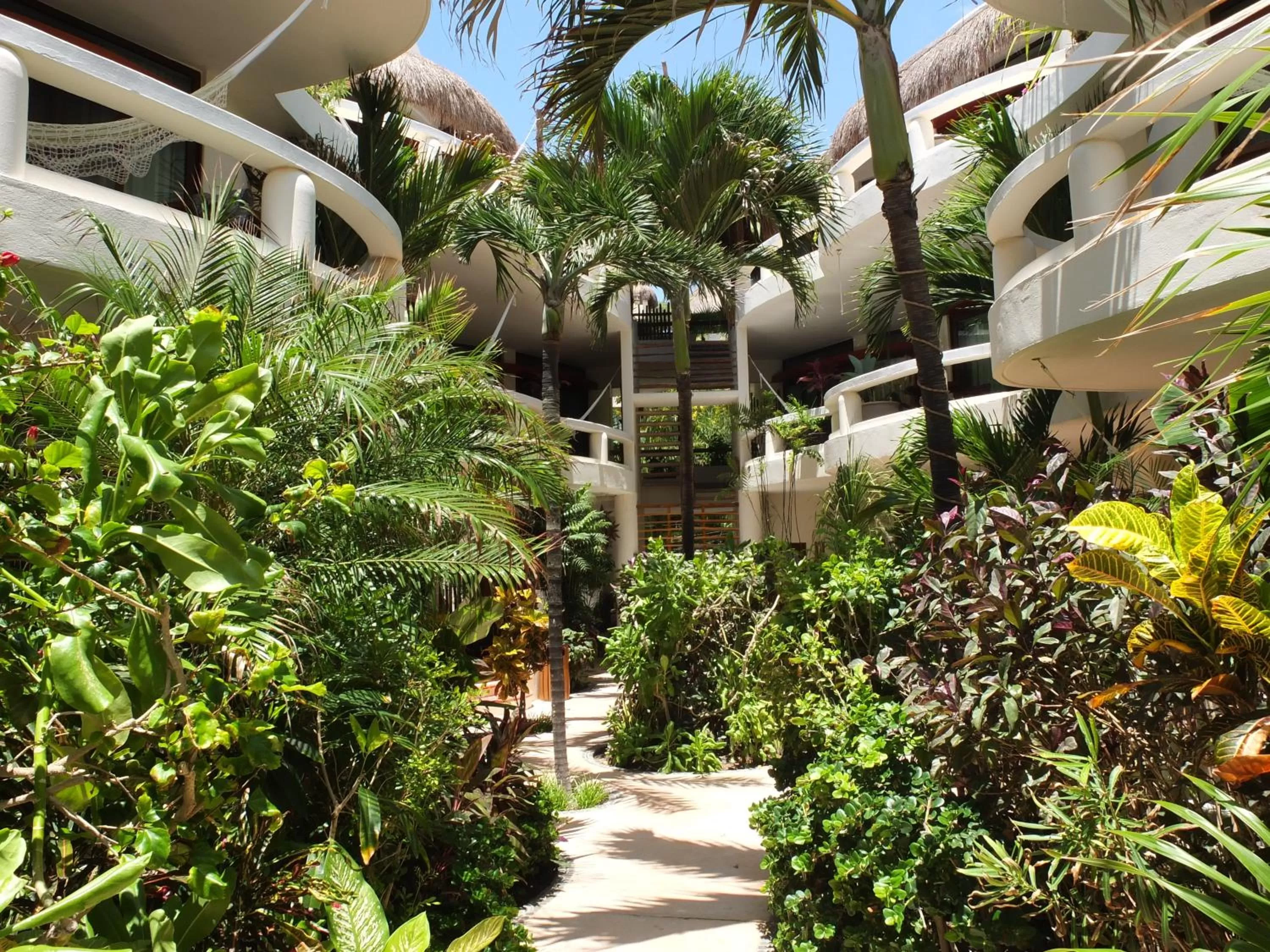 Garden in Playa Palms Beach Hotel