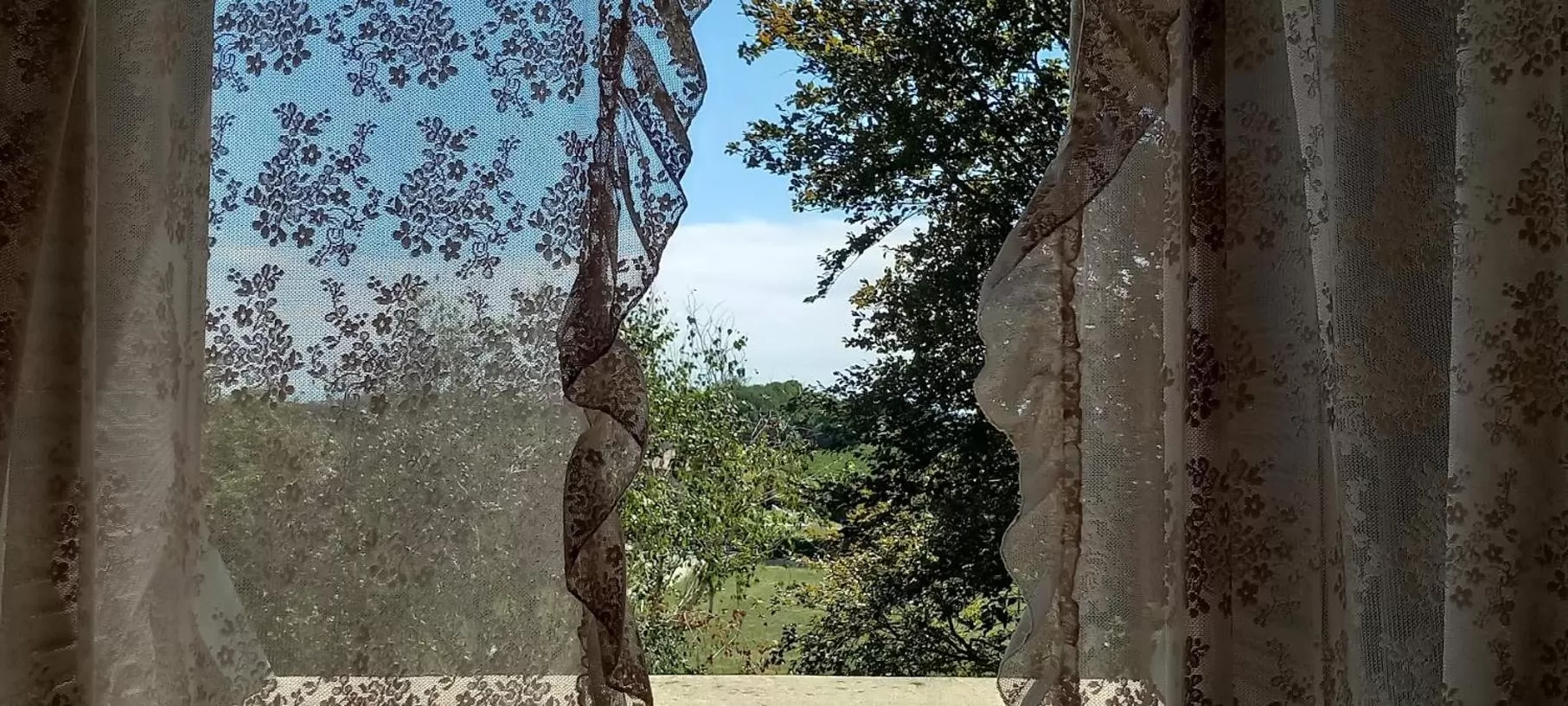 View (from property/room) in Villa Pieve