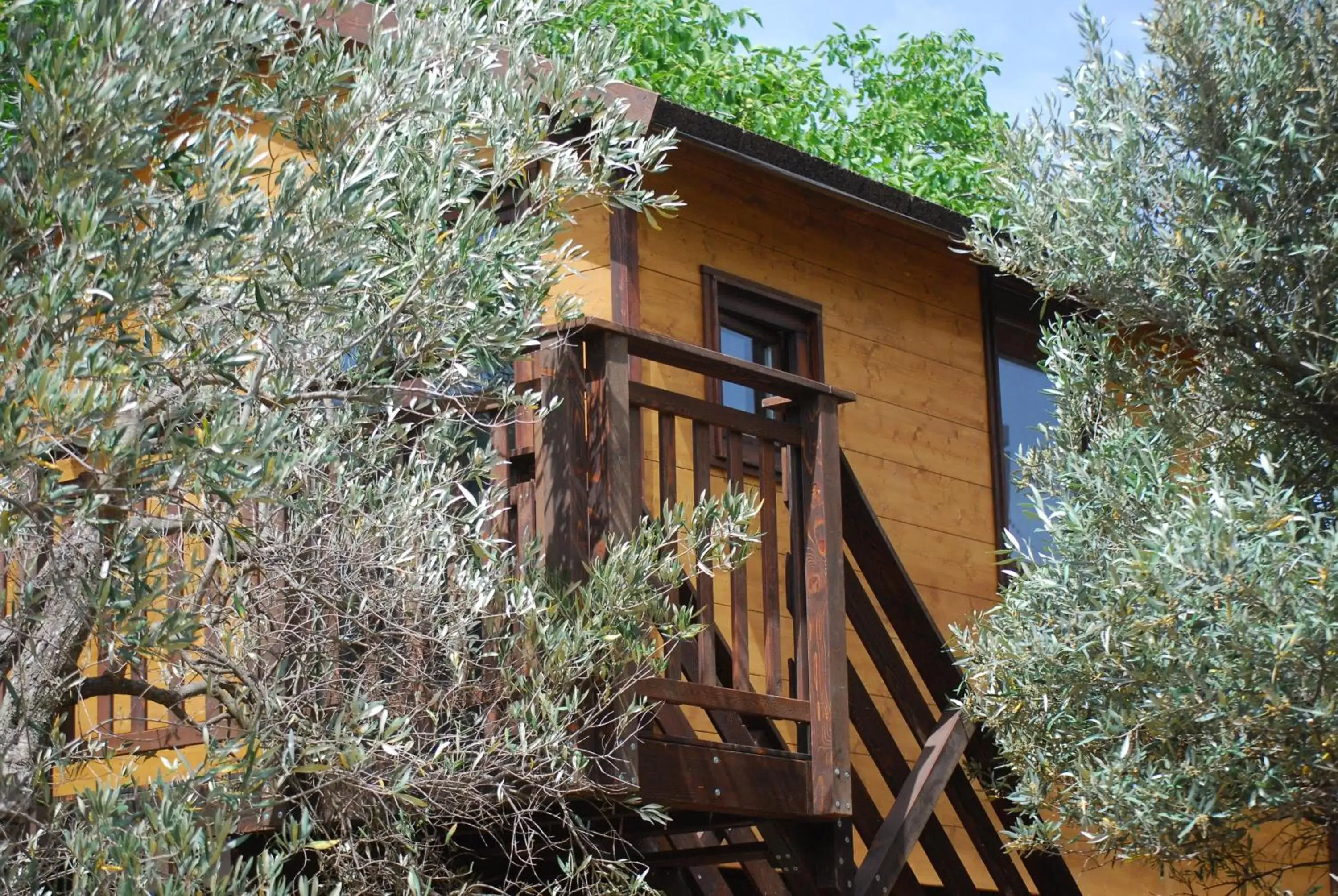 Property Building in Palazzo Conforti Tree House Resort