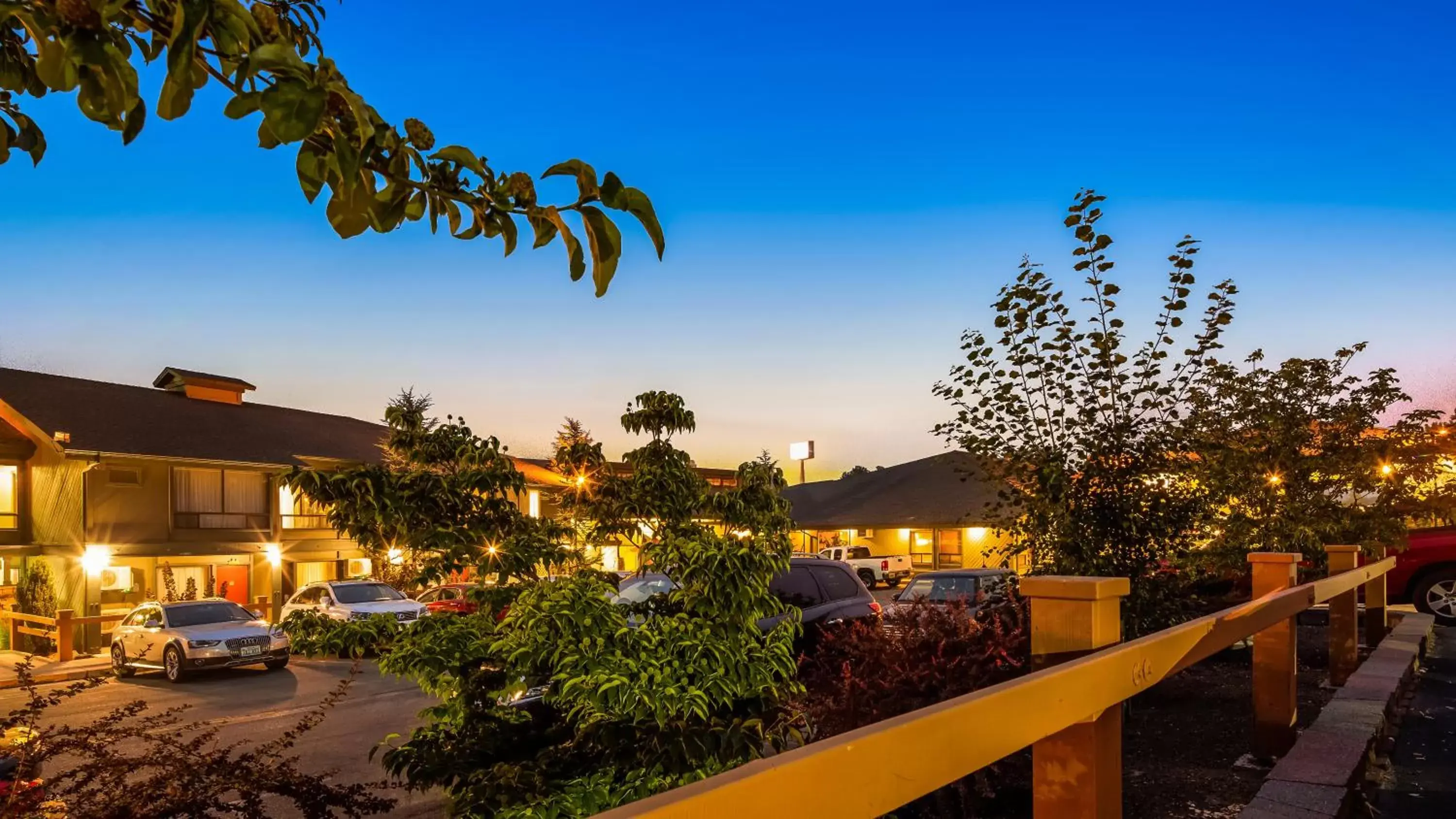 Facade/entrance in Best Western Plus Tree House Facade/entrance in Best Western Plus Tree House