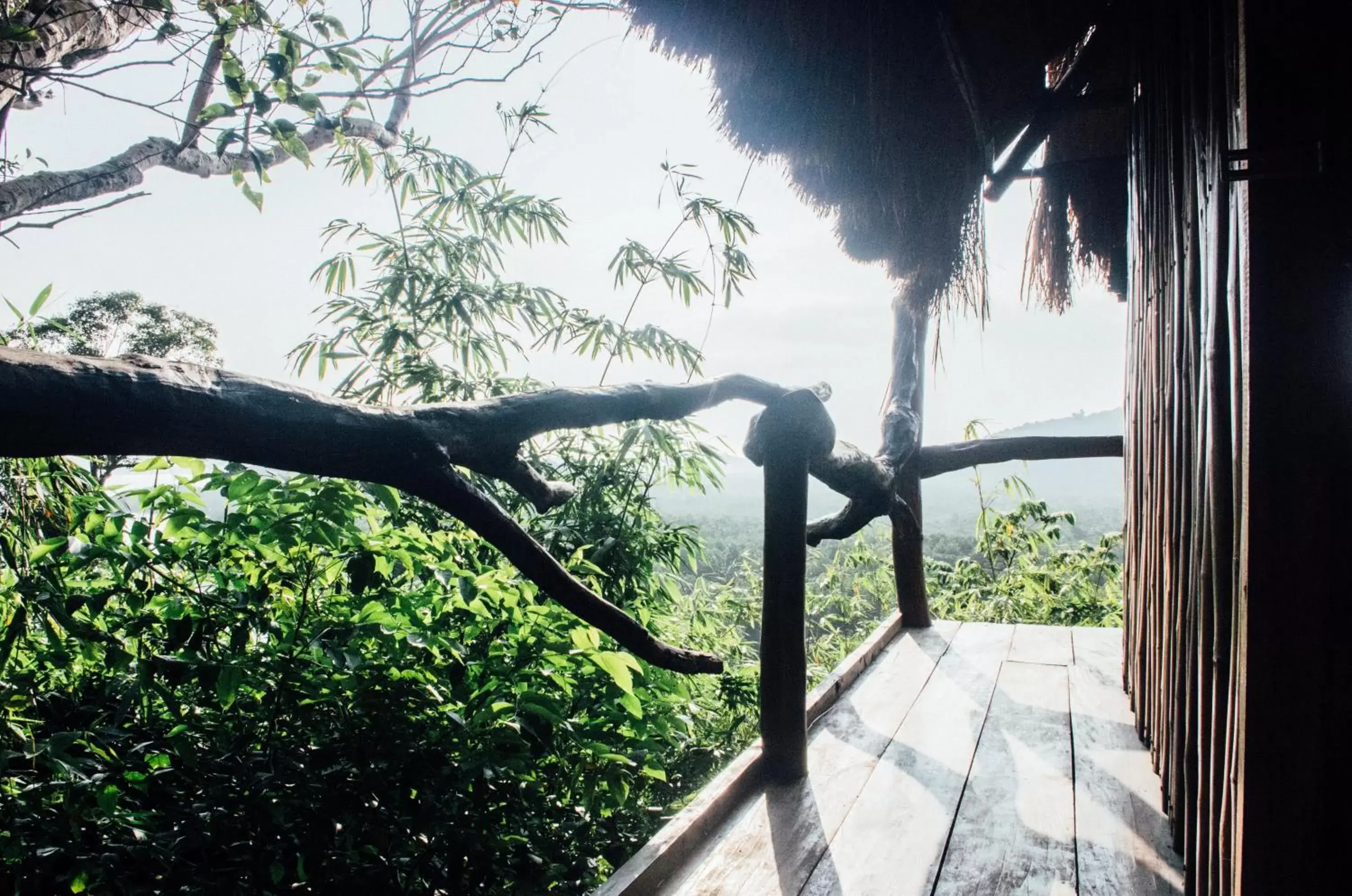 Sanctuaria Treehouses Busuanga